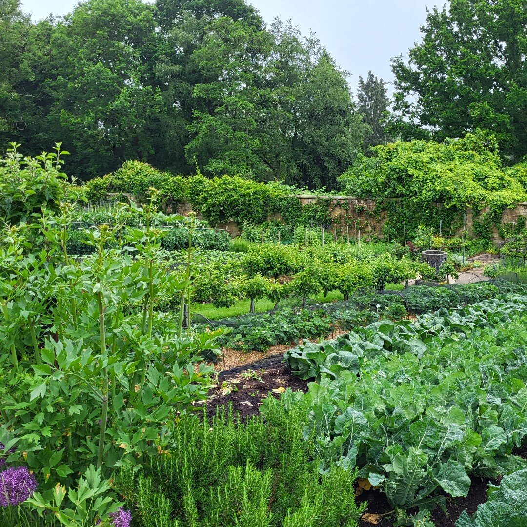 Oh, English Gardens!  Last summer, Richard met with Gravetye Manor&rsquo;s head gardener, Tom Coward, and walked the entire garden.  Creating a beautiful kitchen garden is challenging; but Gravetye&rsquo;s walled fruit and vegetable garden awed us.  