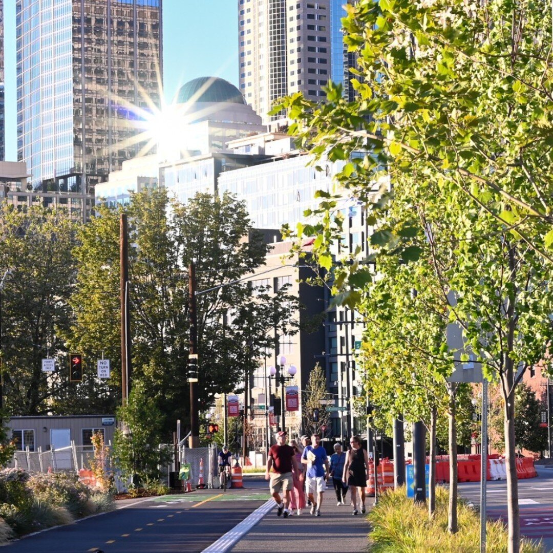 Construction of Seattle&rsquo;s new waterfront continues.  Here&rsquo;s a look back at the first summer of  perennials blooming along the waterfront, from Pioneer Square to the Transportation hub at the Downtown Ferry Terminal.
.
.
.
.
.
With @fieldo