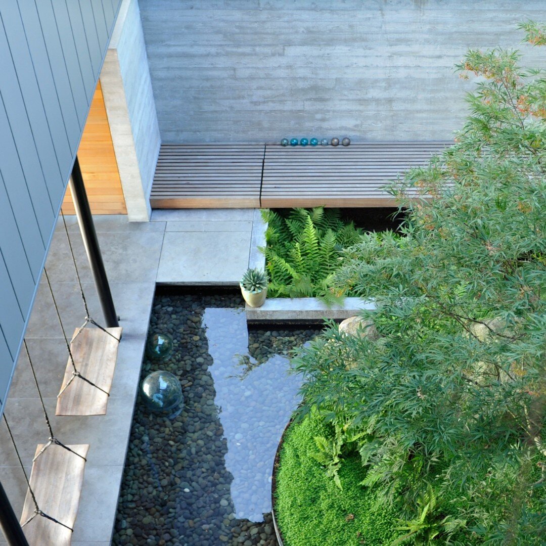 Here's a view of the entry courtyard and garden from inside The Perch.  Custom swings by @dovetail_gc  Plants featured in the garden include Korean Tassel Ferns, Baby tears, and Spotty Dotty Mayapple.

Landscape by @landmorphology.  Architecture by @