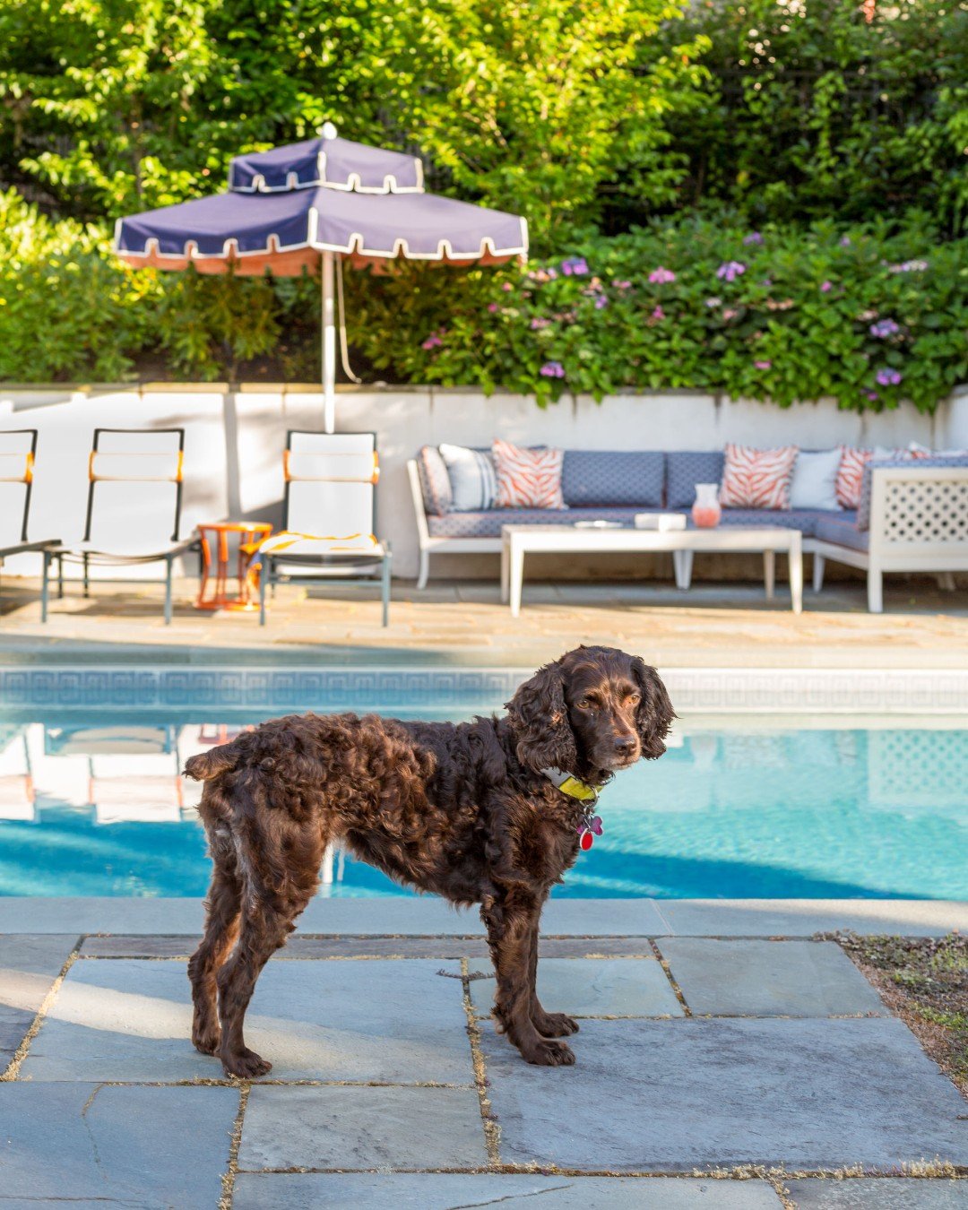 The House of Blue&rsquo;s pool is bordered by a bluestone terrace, offering a simple and polished outdoor space.  Behind the pool, a white retaining wall is lined with blooming hydrangeas.  The seating area includes lounge chairs and a sectional sofa