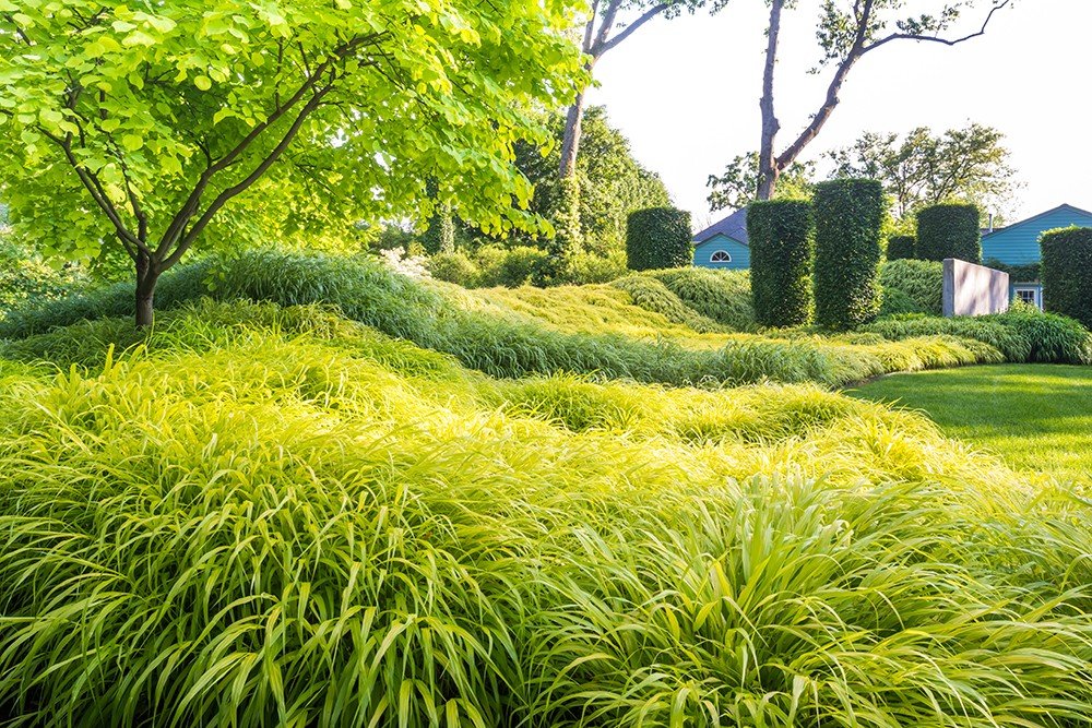 At Mountsier Garden, sculpted landforms elevate the entire design experience&mdash;drawing you into a living, breathing landscape.  Waves of Hakonechloa sway across the berms, echoing the motion of the breeze and immersing the viewer in serenity and 