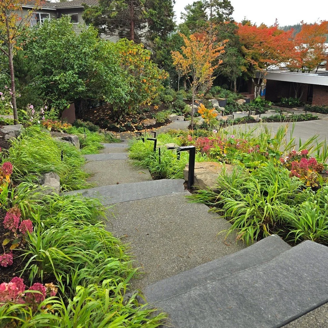 Our newly-constructed Mercer Island mid-century revival's stairway flows gently down from the  new DADU to the main residence.
With @ChesmoreBuck_Architecture and @gallaghercollc
#ModernGarden #midcenturyarchitecture #garden #pnwgarden