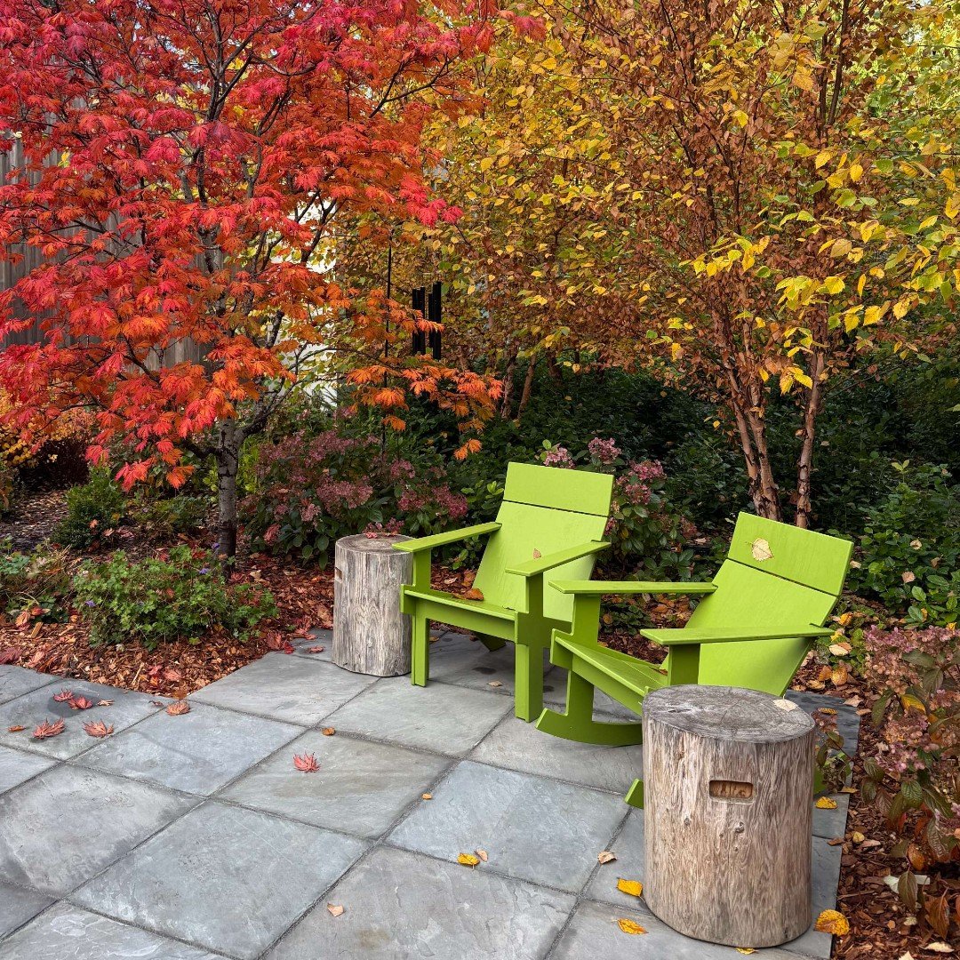Happy Holloween!  The fall colors are spectacular at the Interurban Residence this year.  The garden features native plants and a spectacular Pacific Northwest forest vibe.

#LandMorphology #beautifulgarden #fallcolors #outdoorliving #dwell