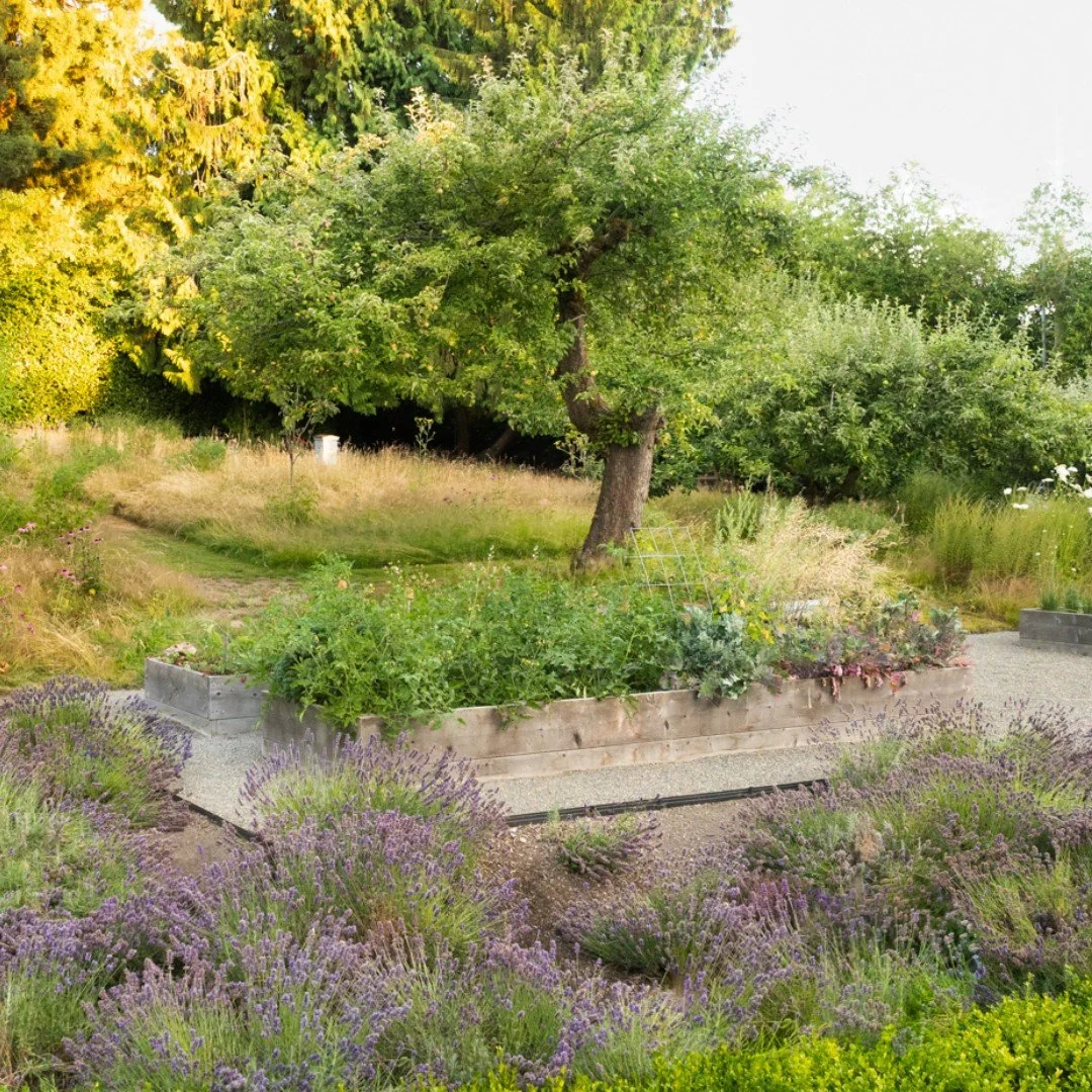 We&rsquo;re always excited to incorporate raised vegetable beds into our clients&rsquo; gardens. With so many styles to choose from, raised beds make it easy to enjoy a productive and beautiful edible garden. Benefits include faster-warming soil, imp