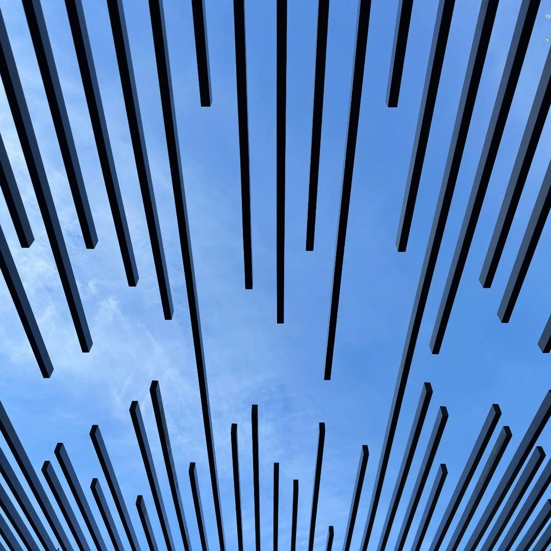 Look Up!  Here's the past year in arbors at Land Morphology.  Arbors shape outdoor space&mdash;filtering light, providing shade, and creating a ceiling for the garden room.