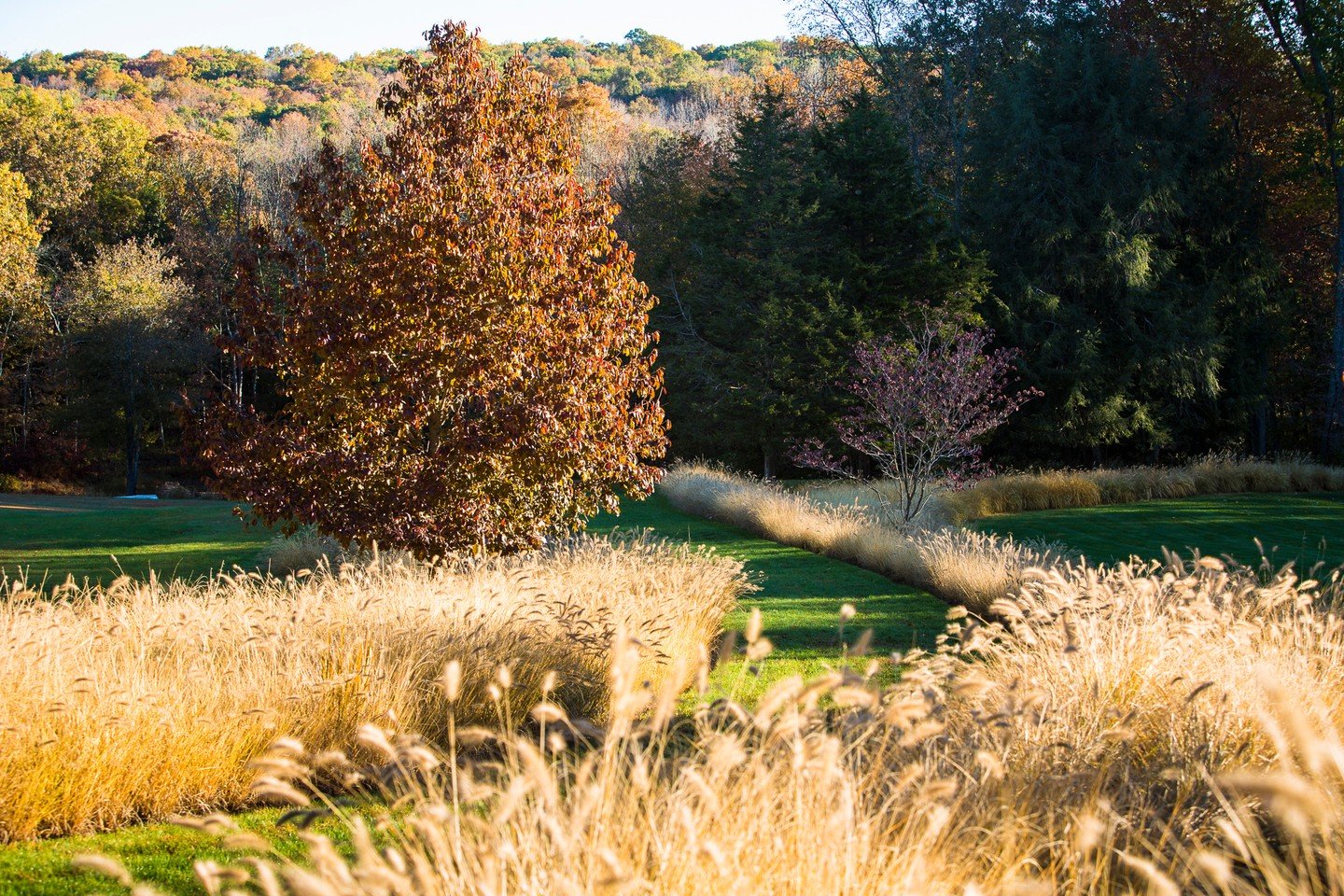 InSitu Garden is a sixteen-acre estate in Redding, Connecticut, where a shingle-style residence is complemented by a landscape shaped by Arts and Crafts principles and the local agrarian vernacular. The garden was conceived and constructed over more 
