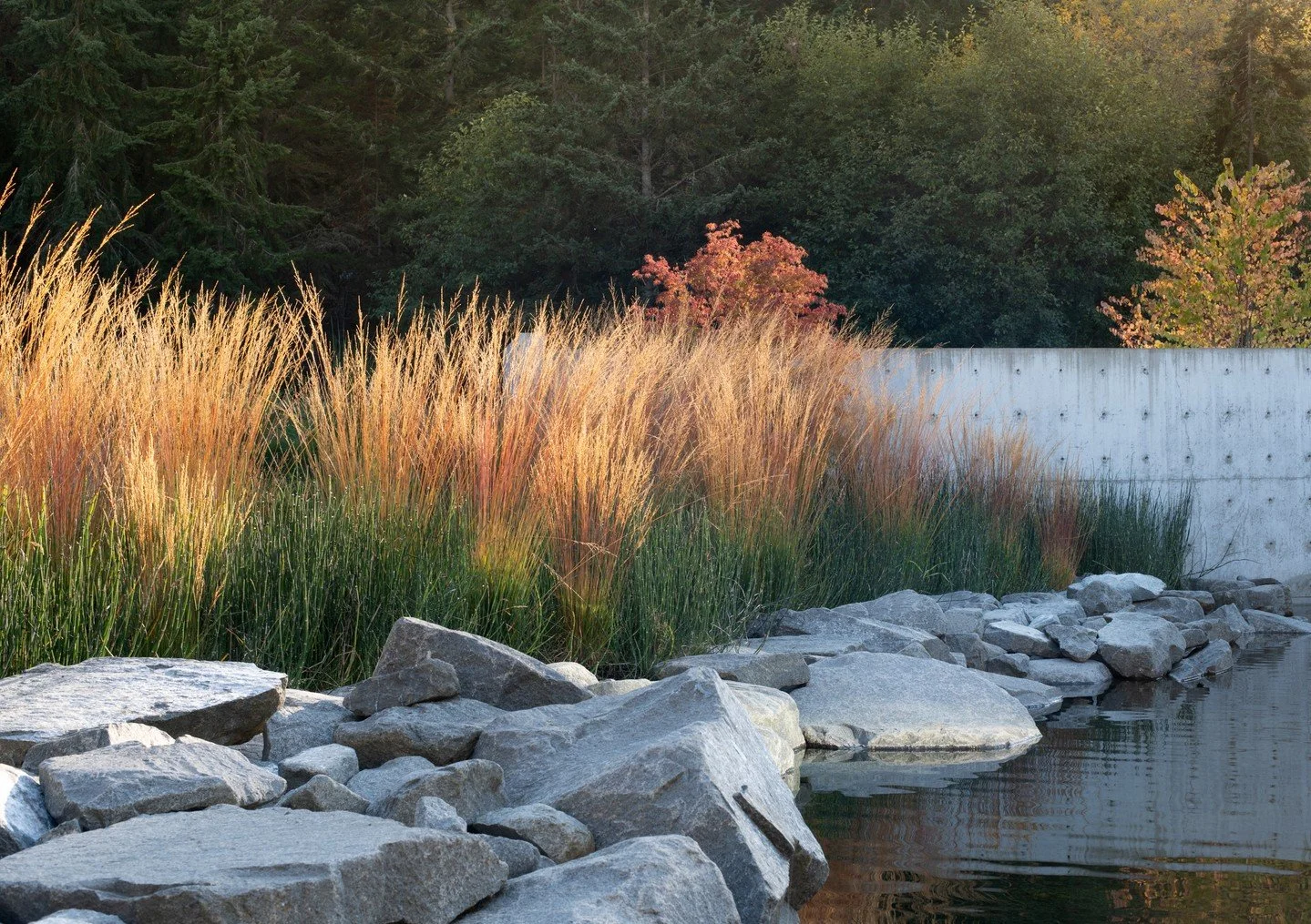 Tidepool House features a large reflecting pool in a protected inner courtyard.  The pool captures and plays with the shifting coastal light and is framed by massive, locally quarried granite boulders.  The grass is Molinia c. Moorhexe grass, and, al