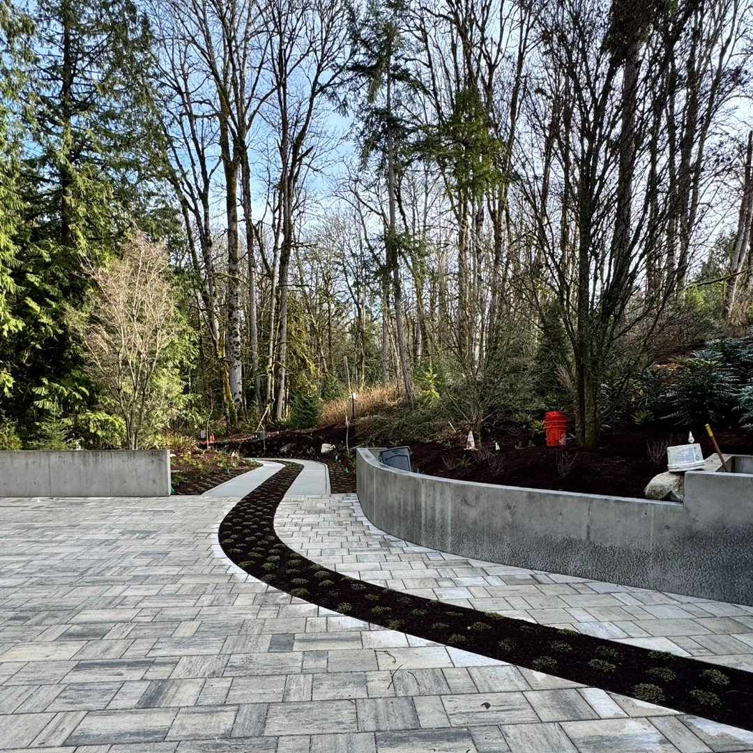 Another section of the ribbon drive is nearly complete! The place-shaping ribbon drive winds through the forest at our Issaquah project. In collaboration with @StudioAMarchitects and @Benderwasenmiller. Landscape construction by @NussbaumGroup.