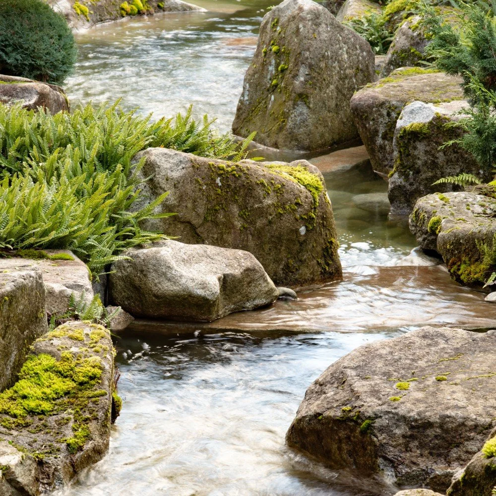 Water brings life to the garden, essentially and contextually.  Ferns and moss contrast with boulders along the stream at our Hidden Cove Japanese-inspired garden. 

Architecture by @silkcavassamarchetti. 
Built by @MercerBuilders
Landscape installat