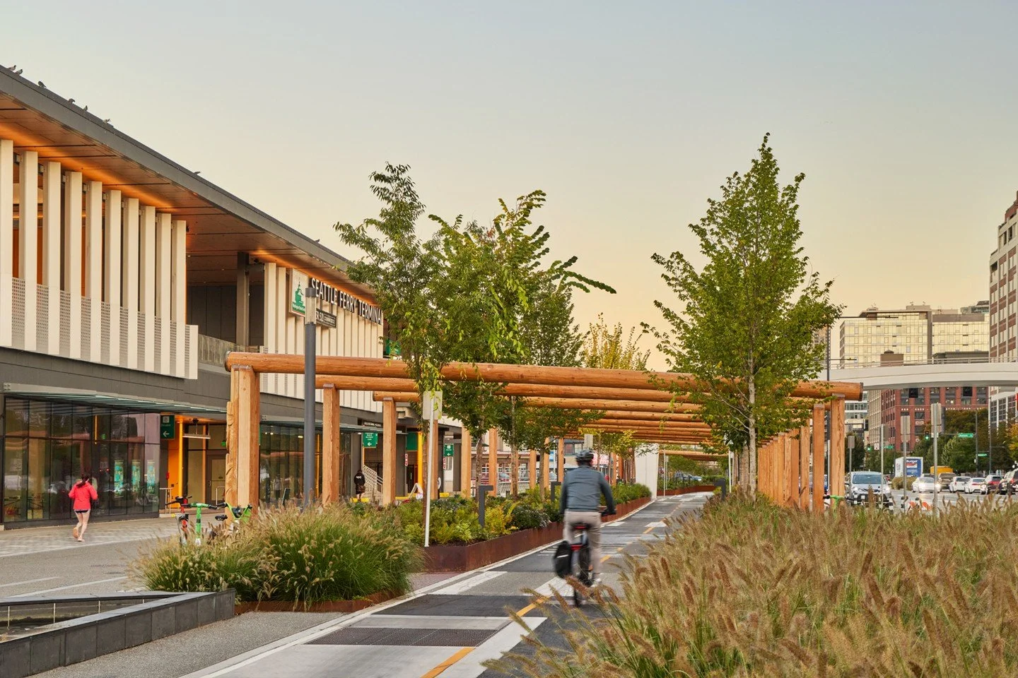 Waterfront Trees, Part 2, The Transit Hub

Drawing on his deep horticultural knowledge, @LandMorphology's Richard Hartlage developed the planting design for the waterfront and Overlook Walk&mdash;creating a 21-block corridor designed to be experience