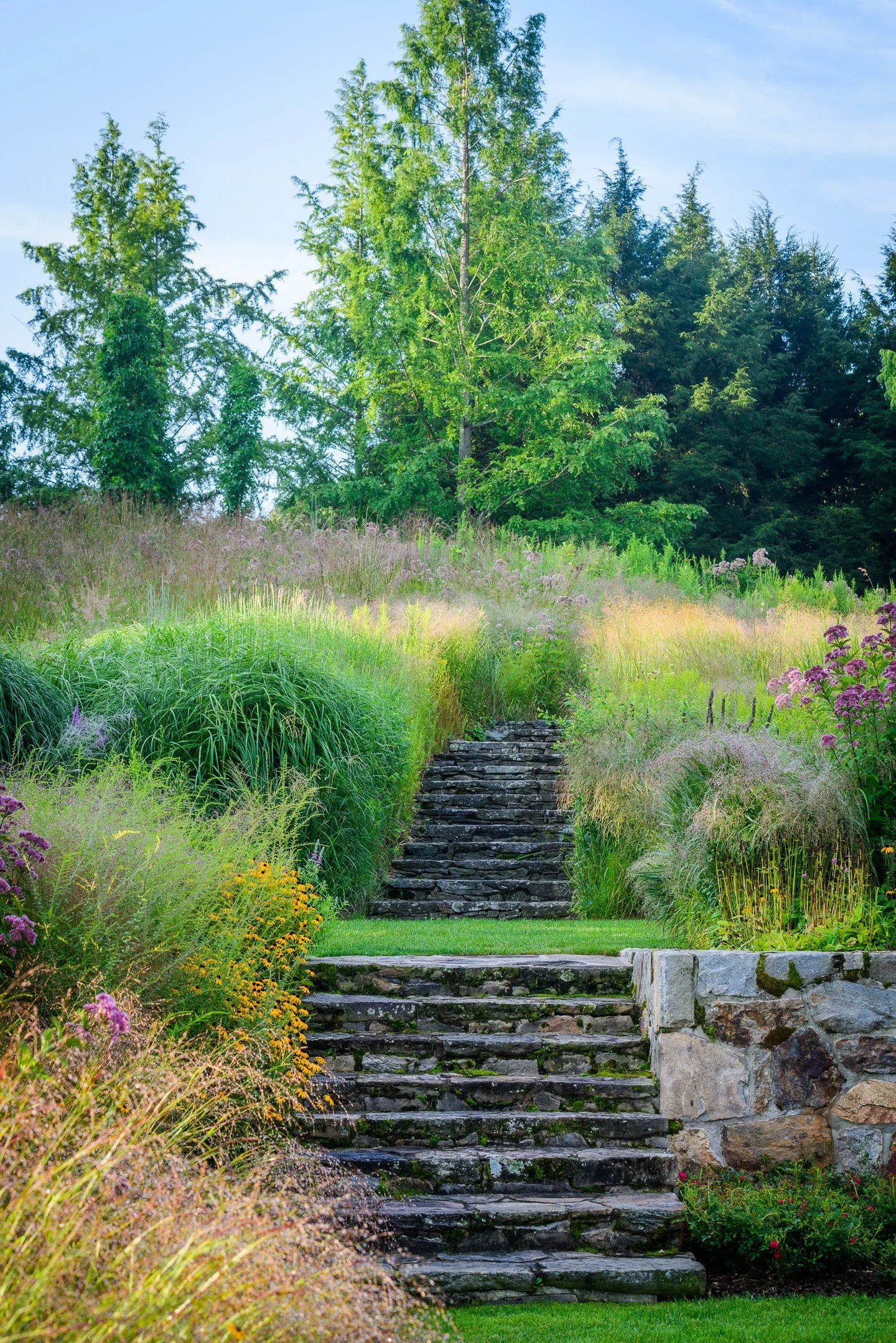 InSitu Garden demonstrates thoughtful planting design celebrates the season.  By @landmorphology 

Summer Photo robcardillo
Fall Photo @clairetakacs

#connecticutgarden #estategardens #fairfieldct #fairfieldcountyct #gardenlife #landscape #Outdoorliv