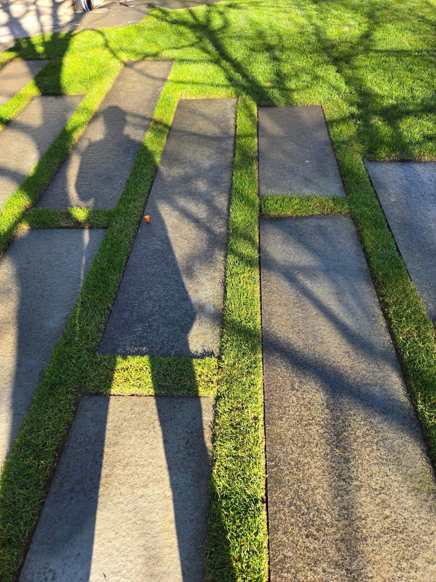Long shadows. Long pavers.  Pavers of Valdes sandstone, from four to eight feet long, 18 inches across, and with gaps of six inches, cross the lawn from house to swimming pool.  At our Tectonic Garden.

By us, with @StudioAMarchitects and @Benderwase