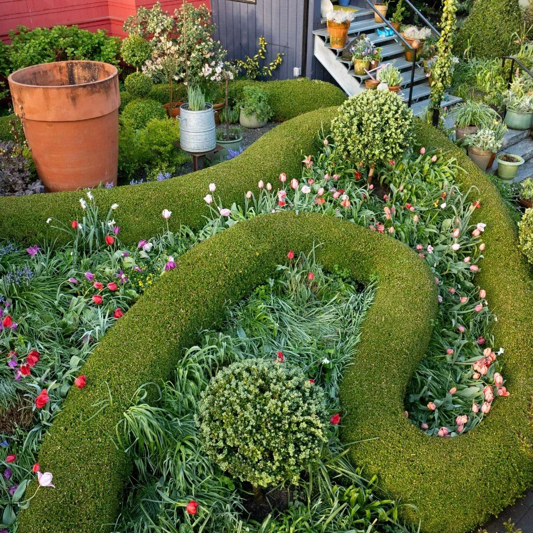 Tulip mania is celebrated in Richard&rsquo;s garden every spring.  Here are a few scenes from this year.

Please check out the recent article featuring Richard&rsquo;s home and garden in The New York Times.  Visit our bio for a link to the article.

