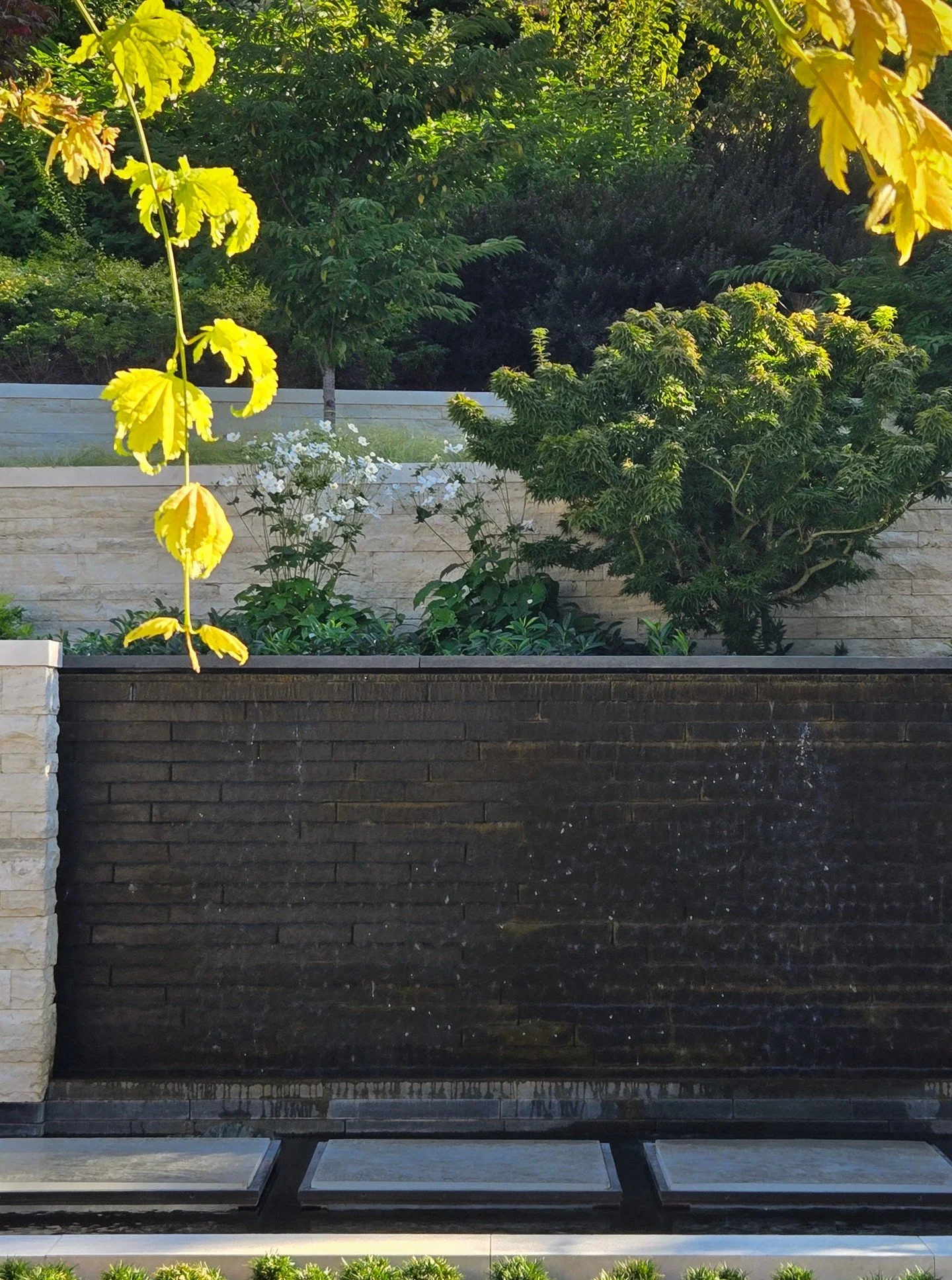 At the base of the water wall, custom glass pavers with archeological references to the past float over a koi pond.

Glass by Kerry Johnson Glass @kerry.johnson.glass

Garden by @landmorphology