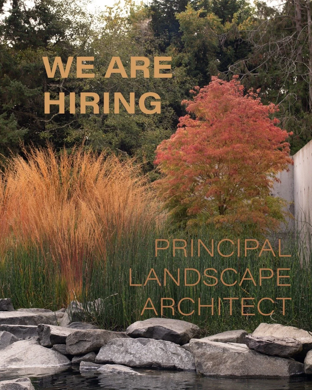We&rsquo;re hiring 🌿

Land Morphology is seeking a Principal-level Landscape Architect to join our Seattle studio. This role is suited for a licensed landscape architect with 10+ years of experience and a strong voice in shaping complex, design-driv