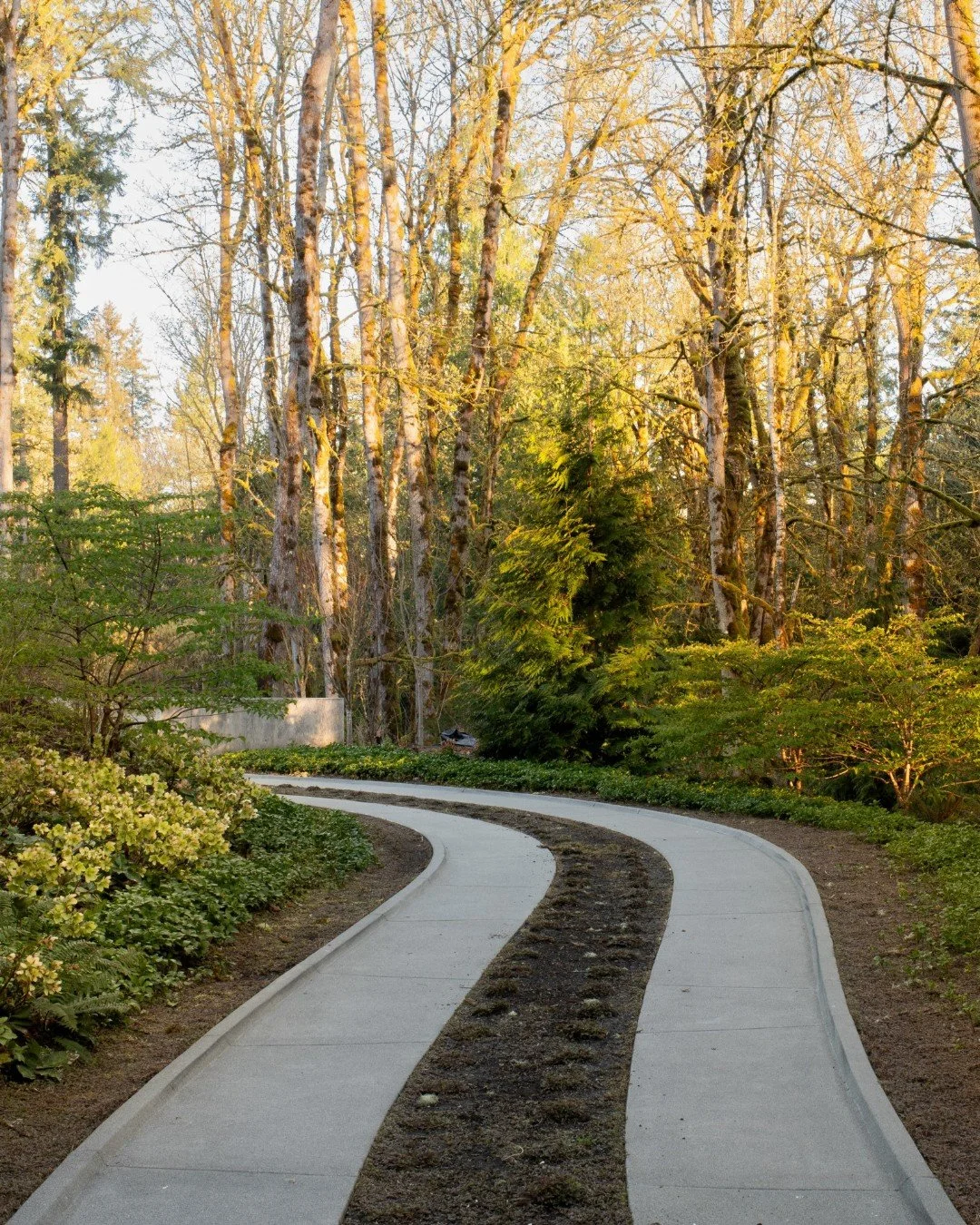 The long and winding road home.

At this Issaquah residence, the drive moves gently through the landscape&mdash;framing views, slowing arrival, and drawing the experience deeper into the forest. The ribbon drive softens the presence of paving within 