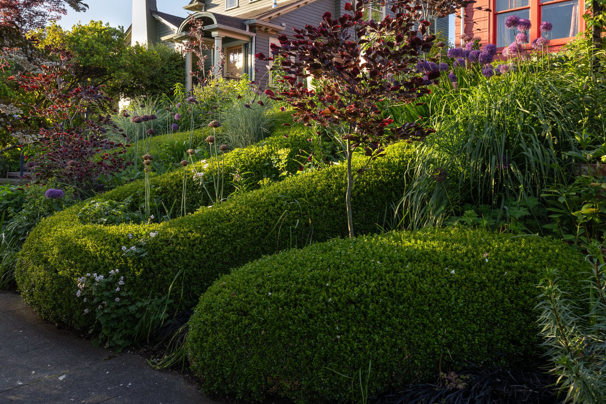 Miranda-Estes-Photography-Land Morphology-Hartlage Garden-10.jpg