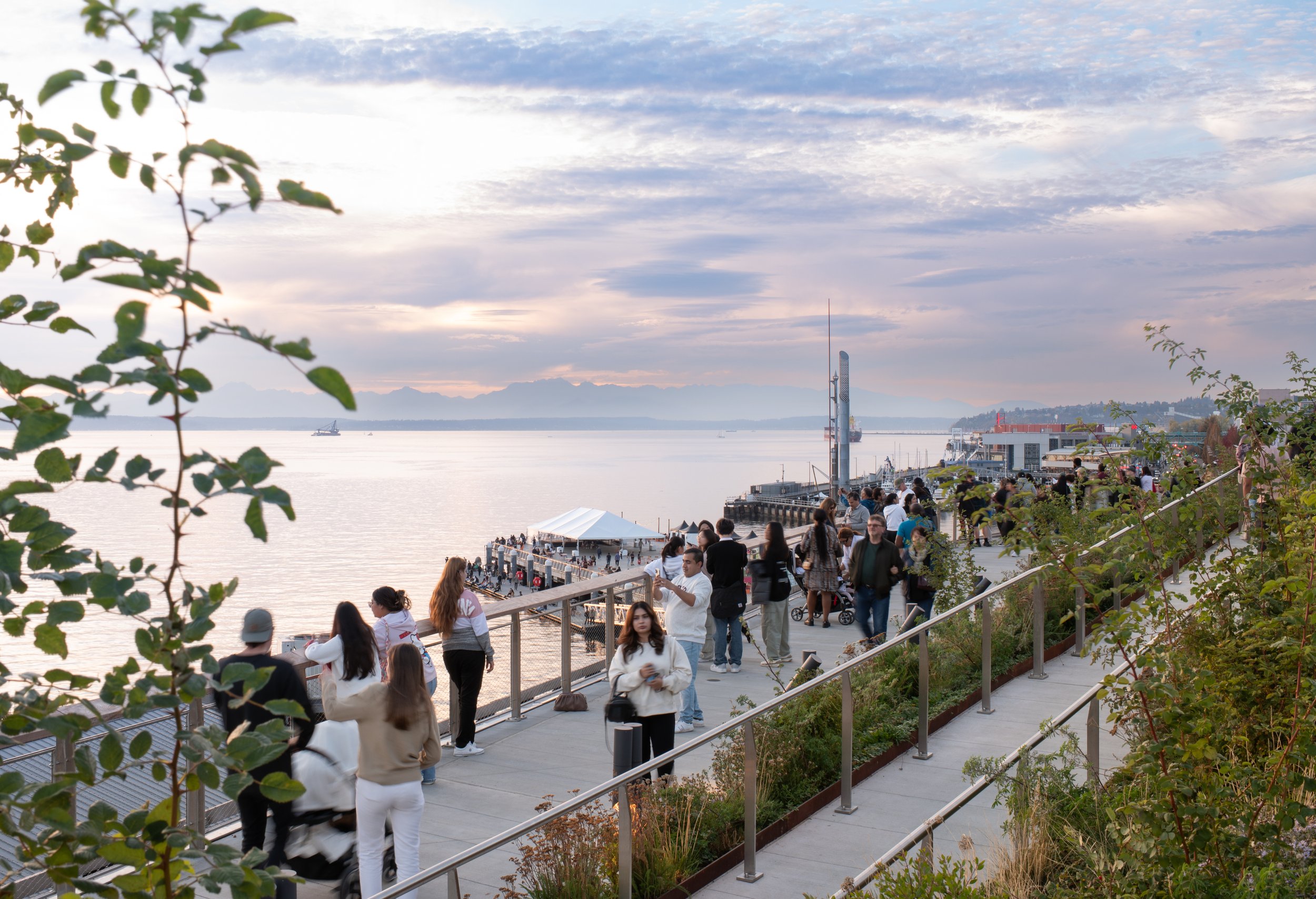 Overlook Walk_2024_LM_DSC_1041.jpg