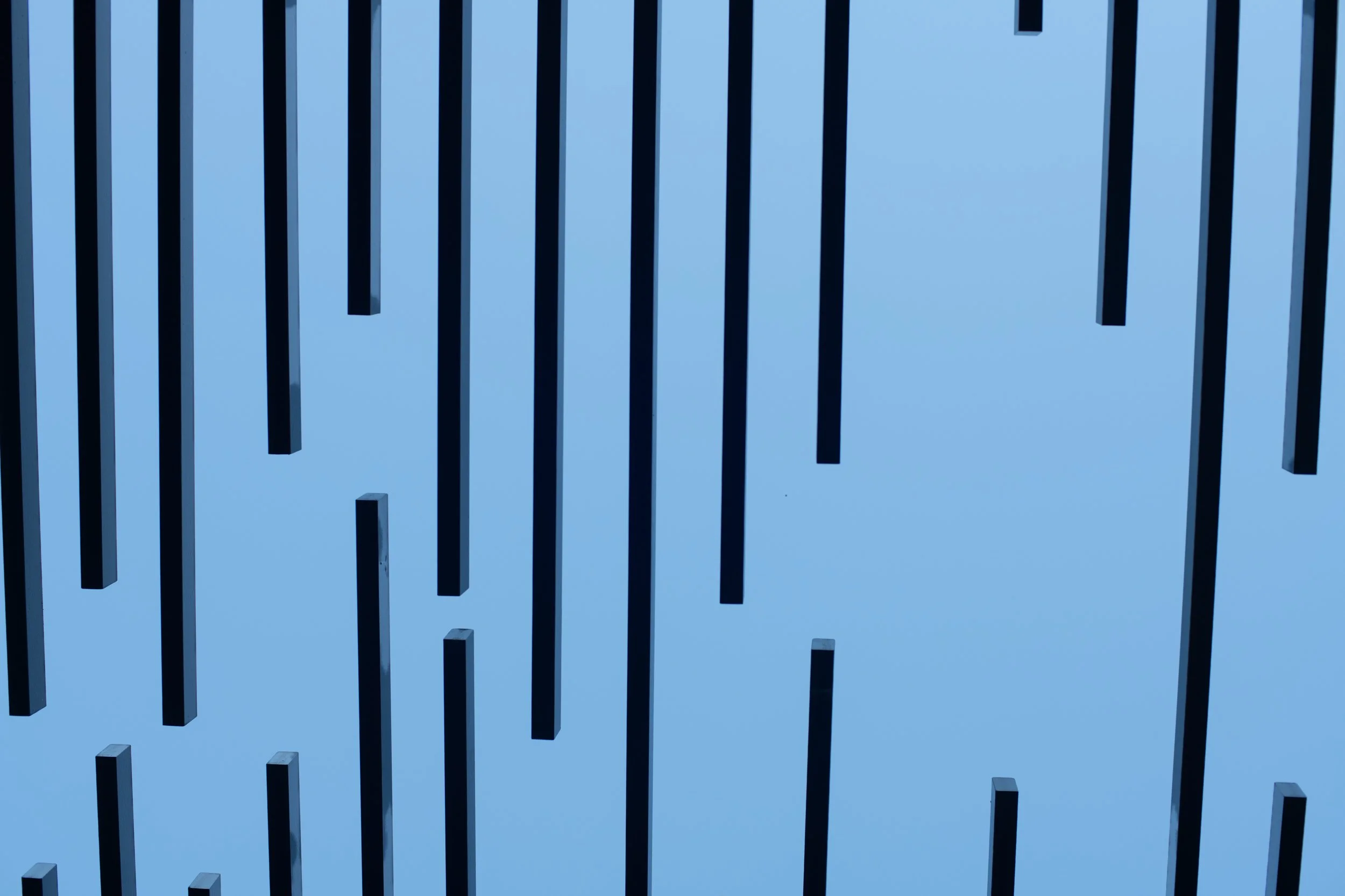 Sky view through arbor