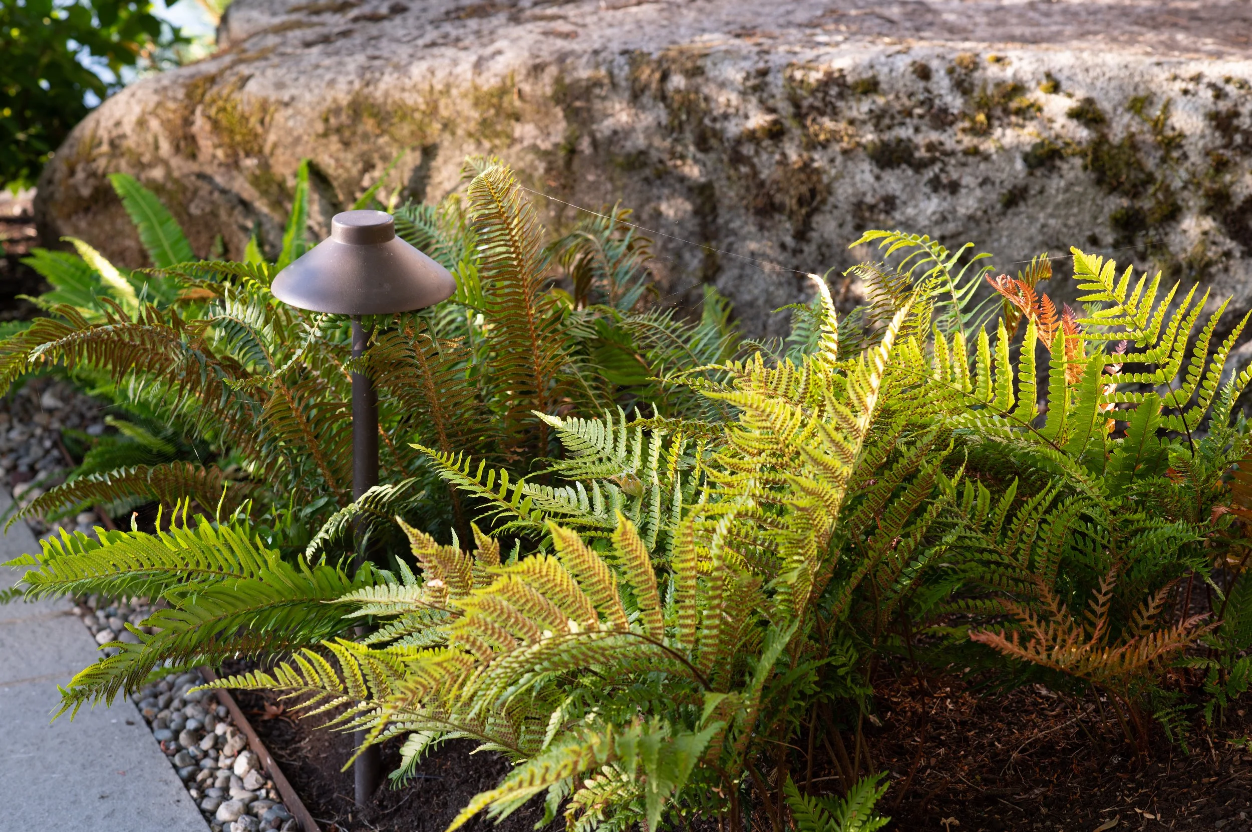 Garden at Shore Blocks