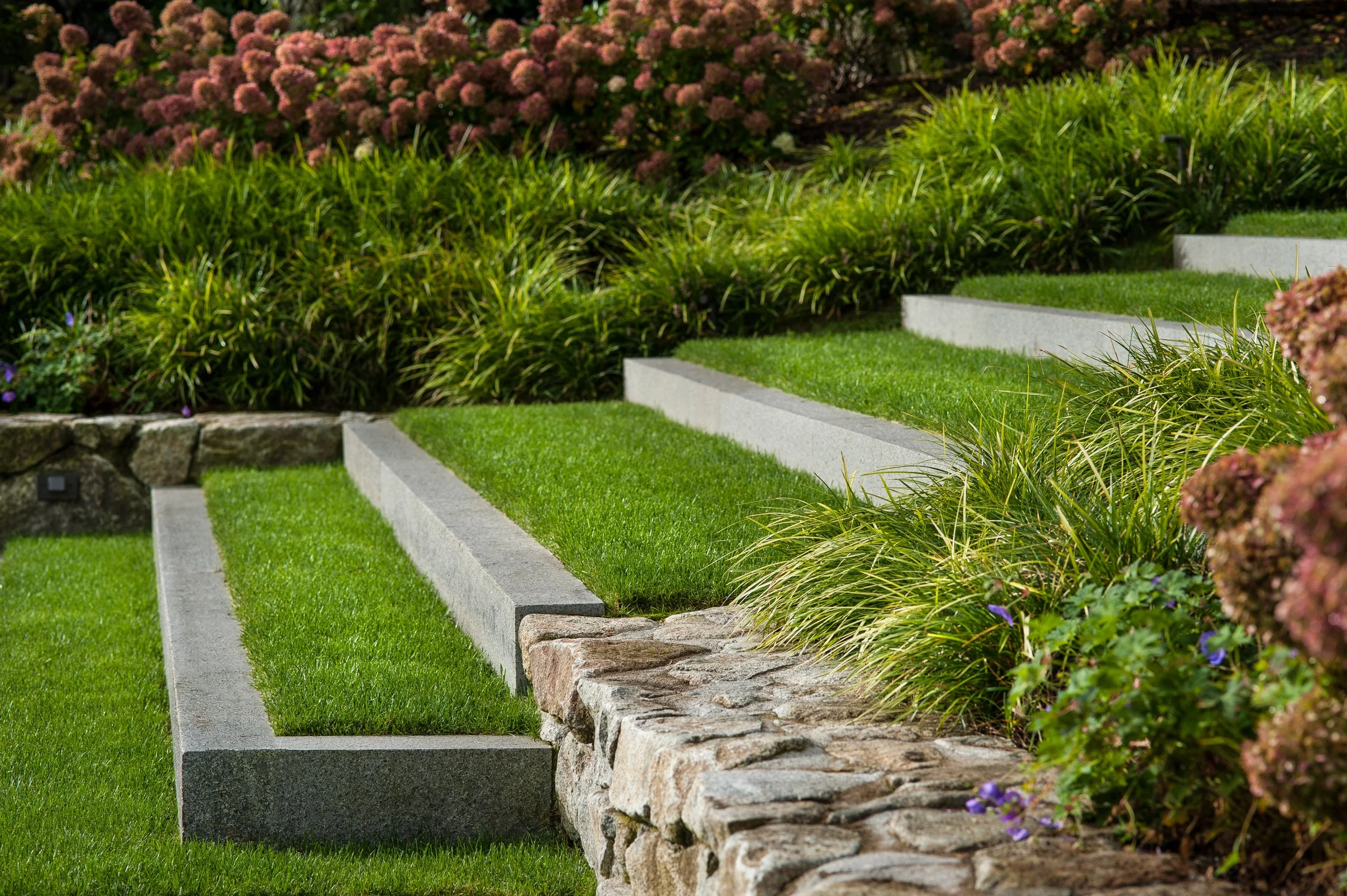 Land Morphology__DSC9682.jpg