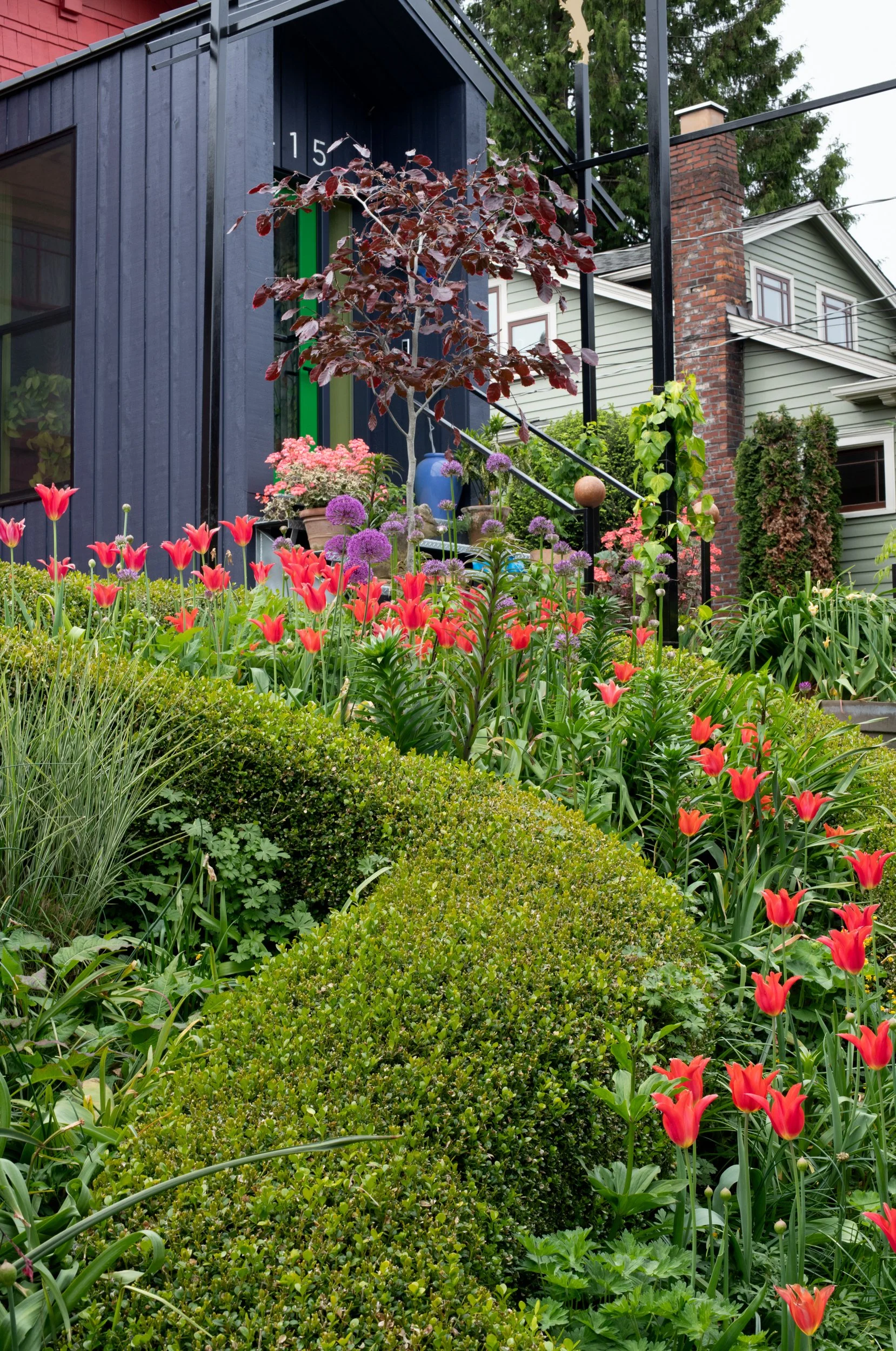 Hartlage_Land Morphology_RH_2025_DSC_6441.jpg