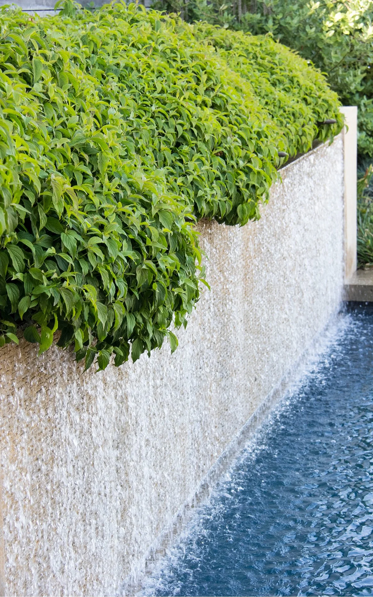 Water in the Garden, January 13, 2022