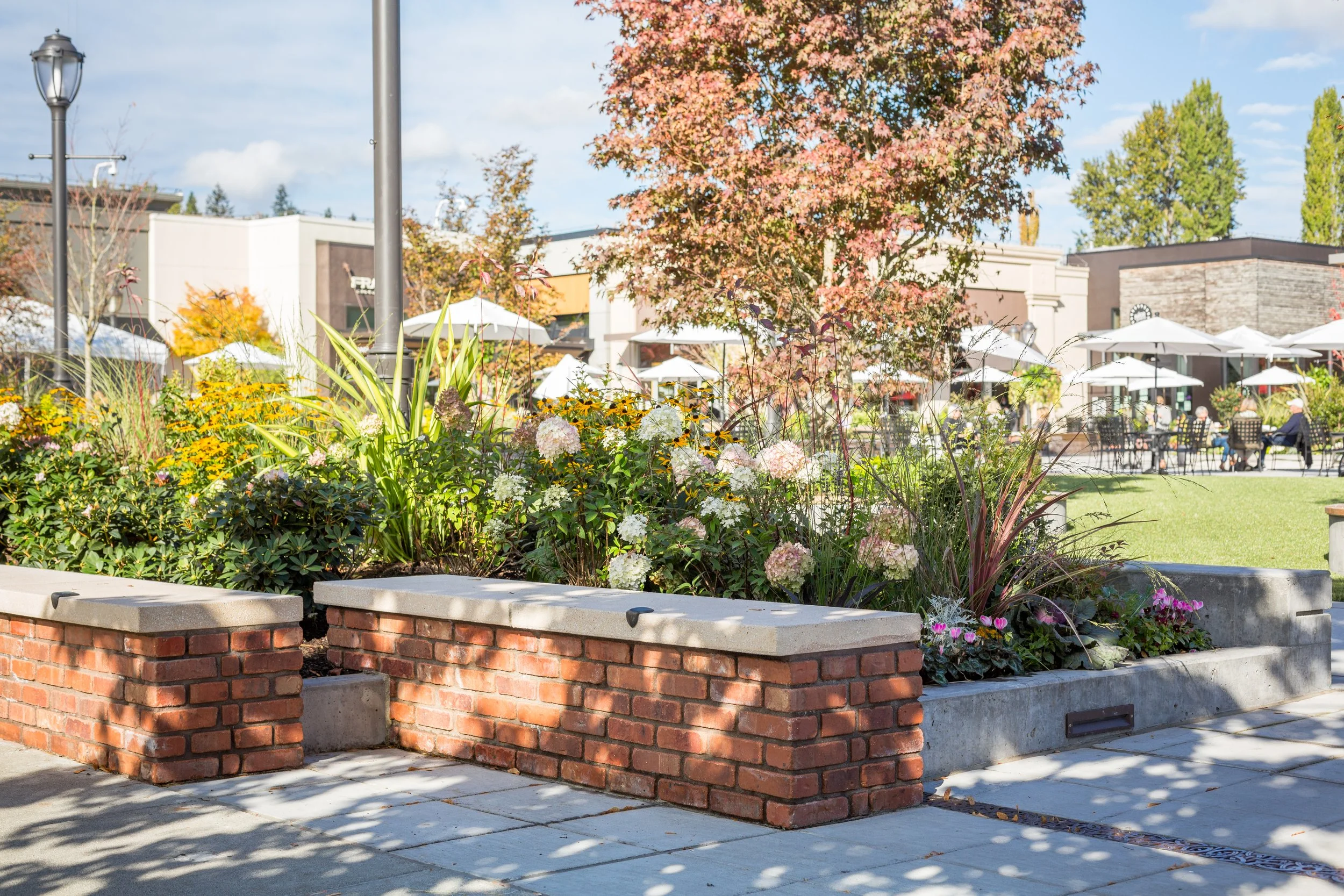 Miranda-Estes-Photography-Land Morphology-University Village-28.jpg