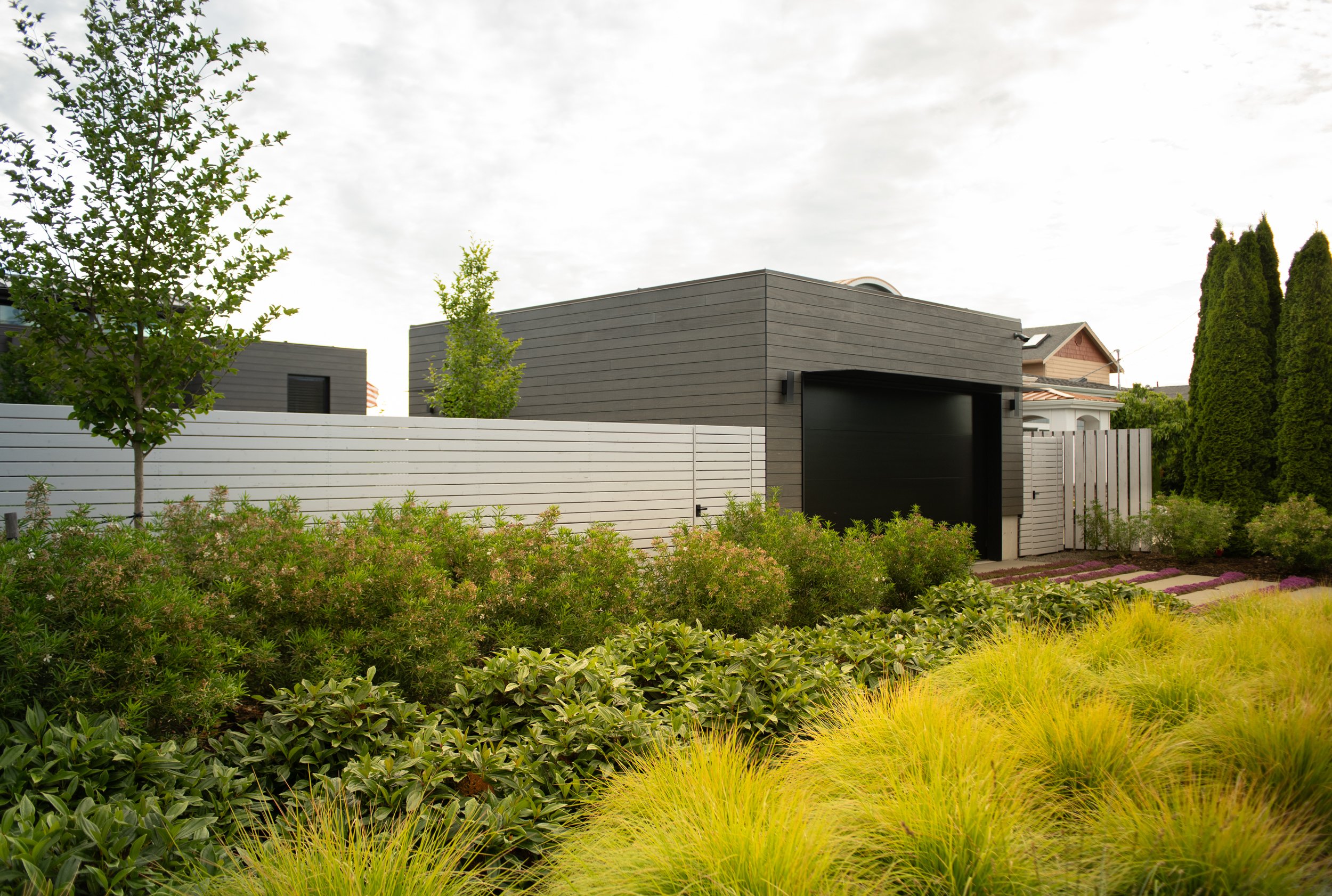 Front garden featuring Aztec Pearl Mexican Orange, Yin® Viburnum and Autumn Moor Grass.