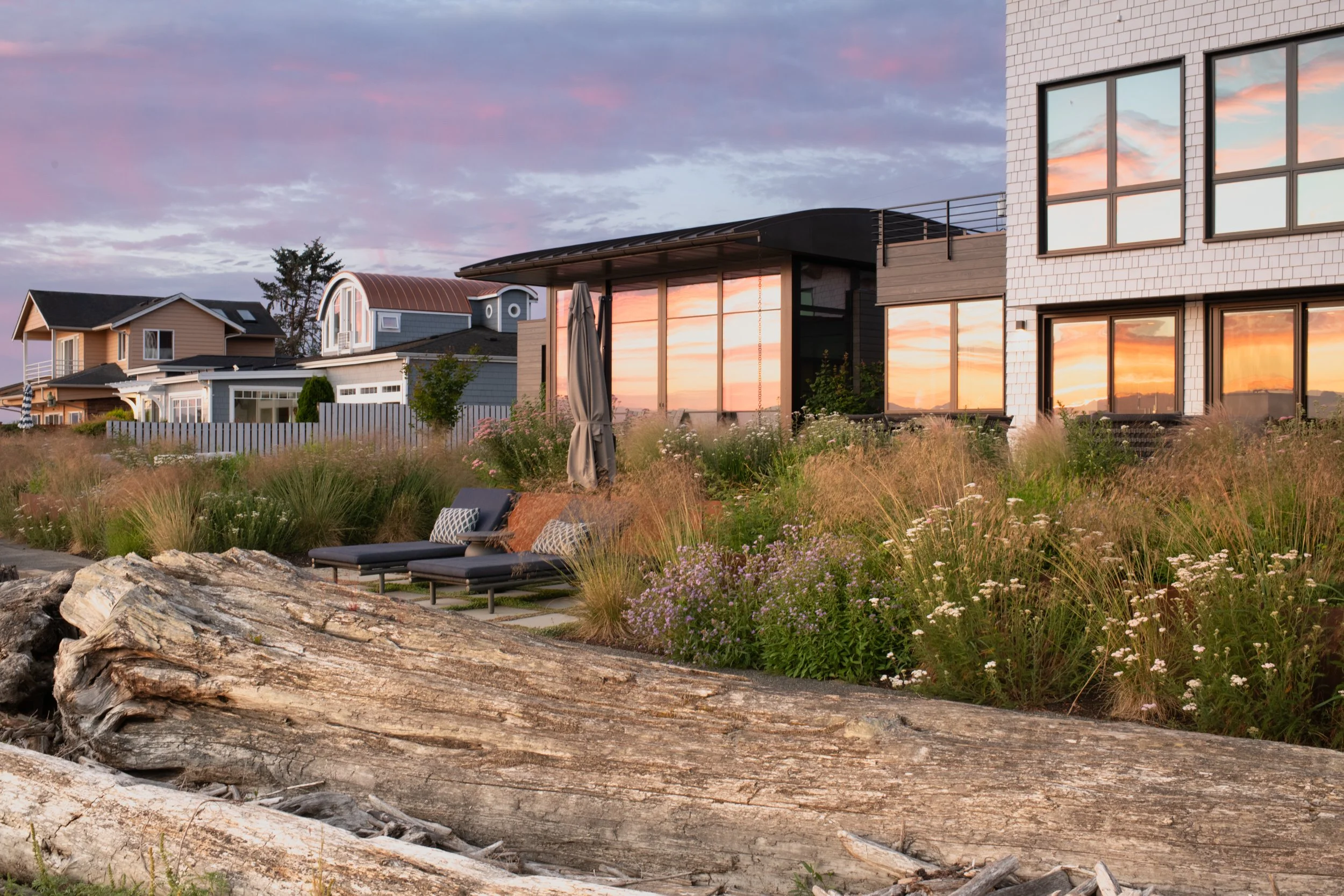 An area for beachside lounging and planting that includes Common Yarrow, Douglas Aster, Tufted Hair Grass and American Dunegrass.