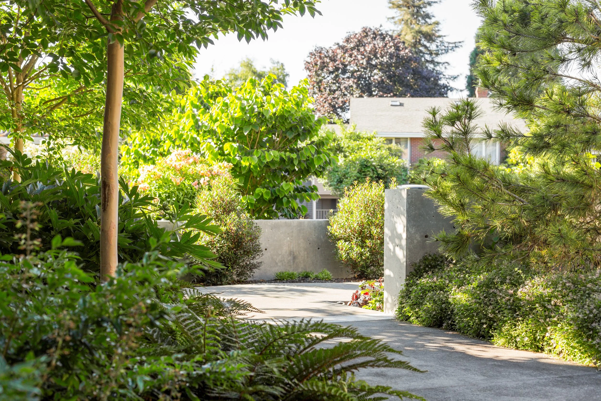 Five Residence walls