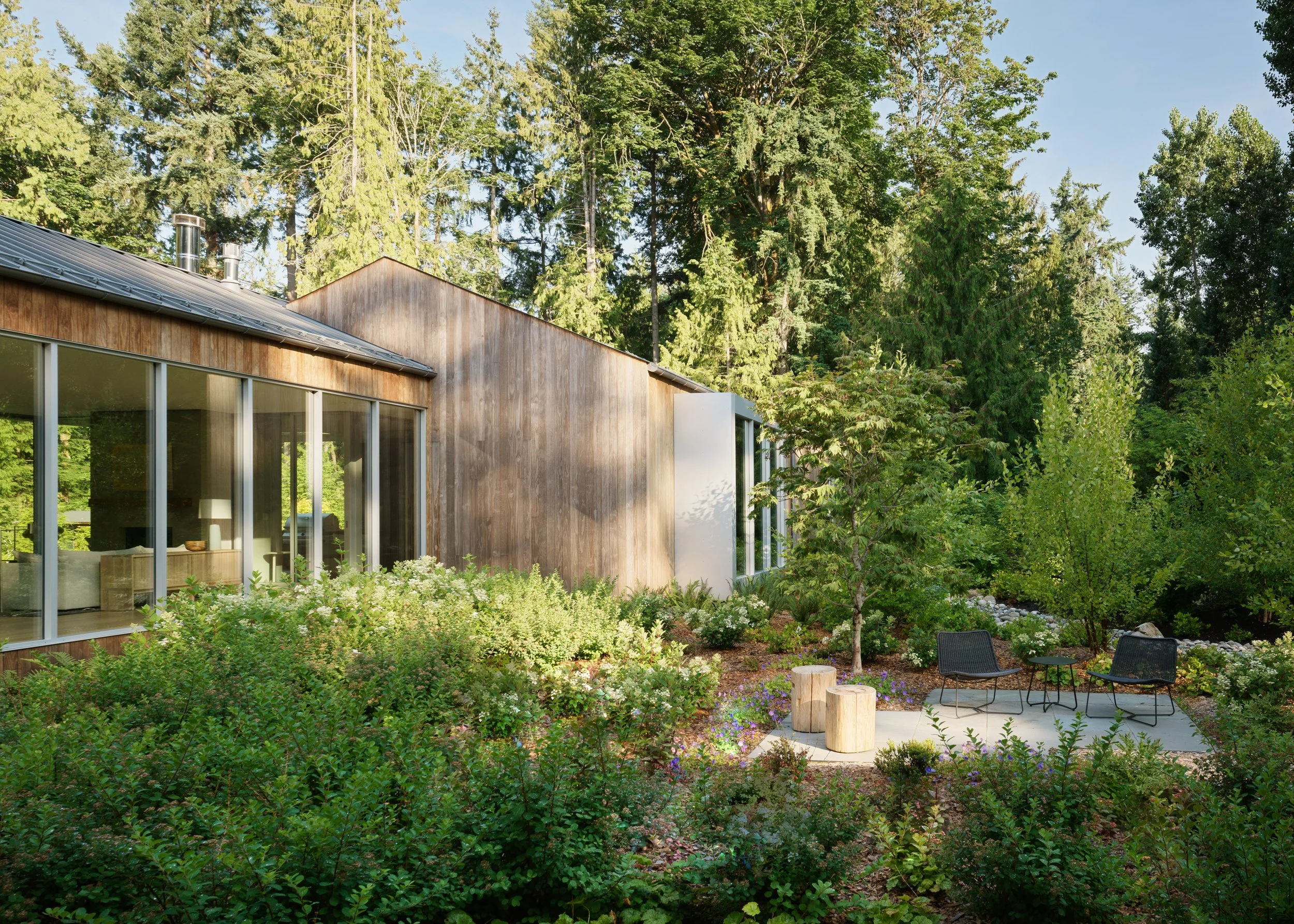 Refuge in the Woods, November 5, 2020