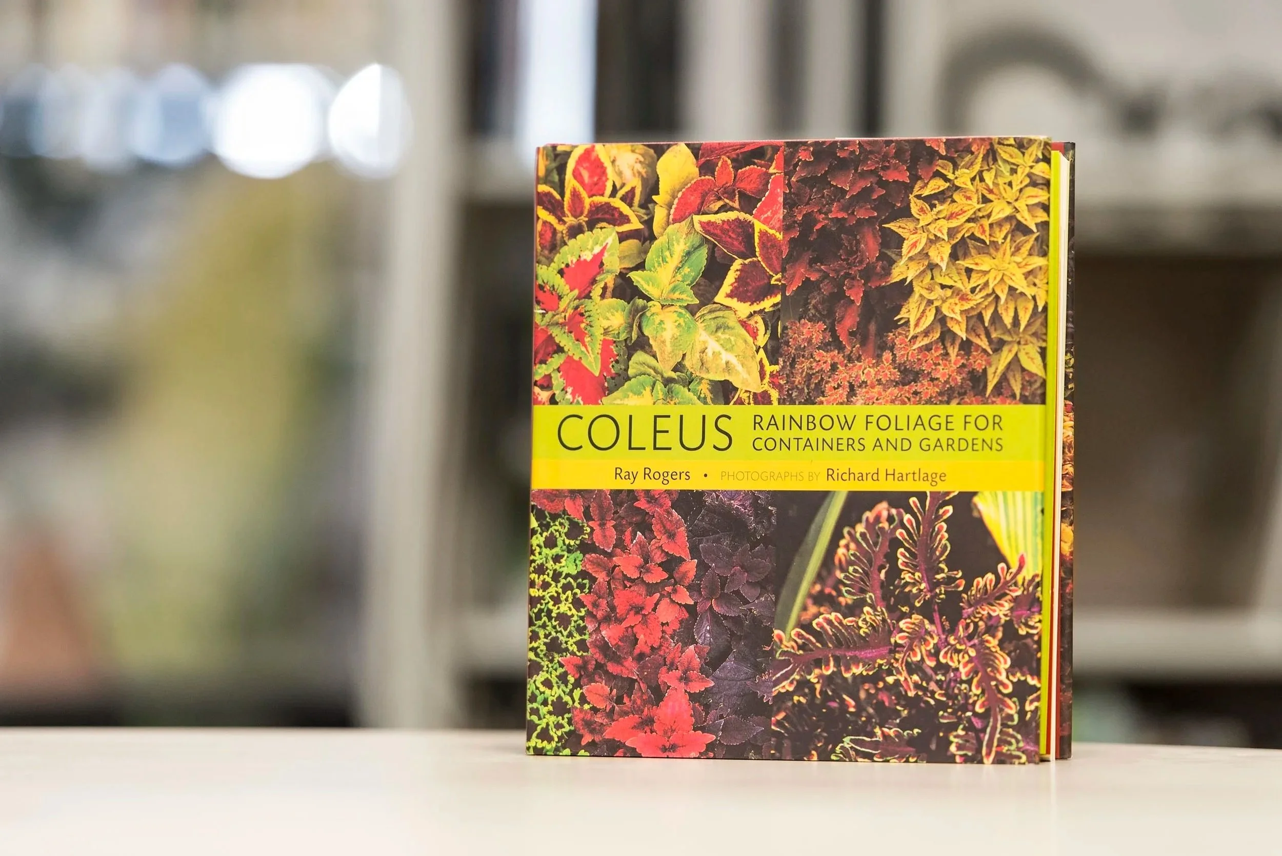 Coleus - Book cover image