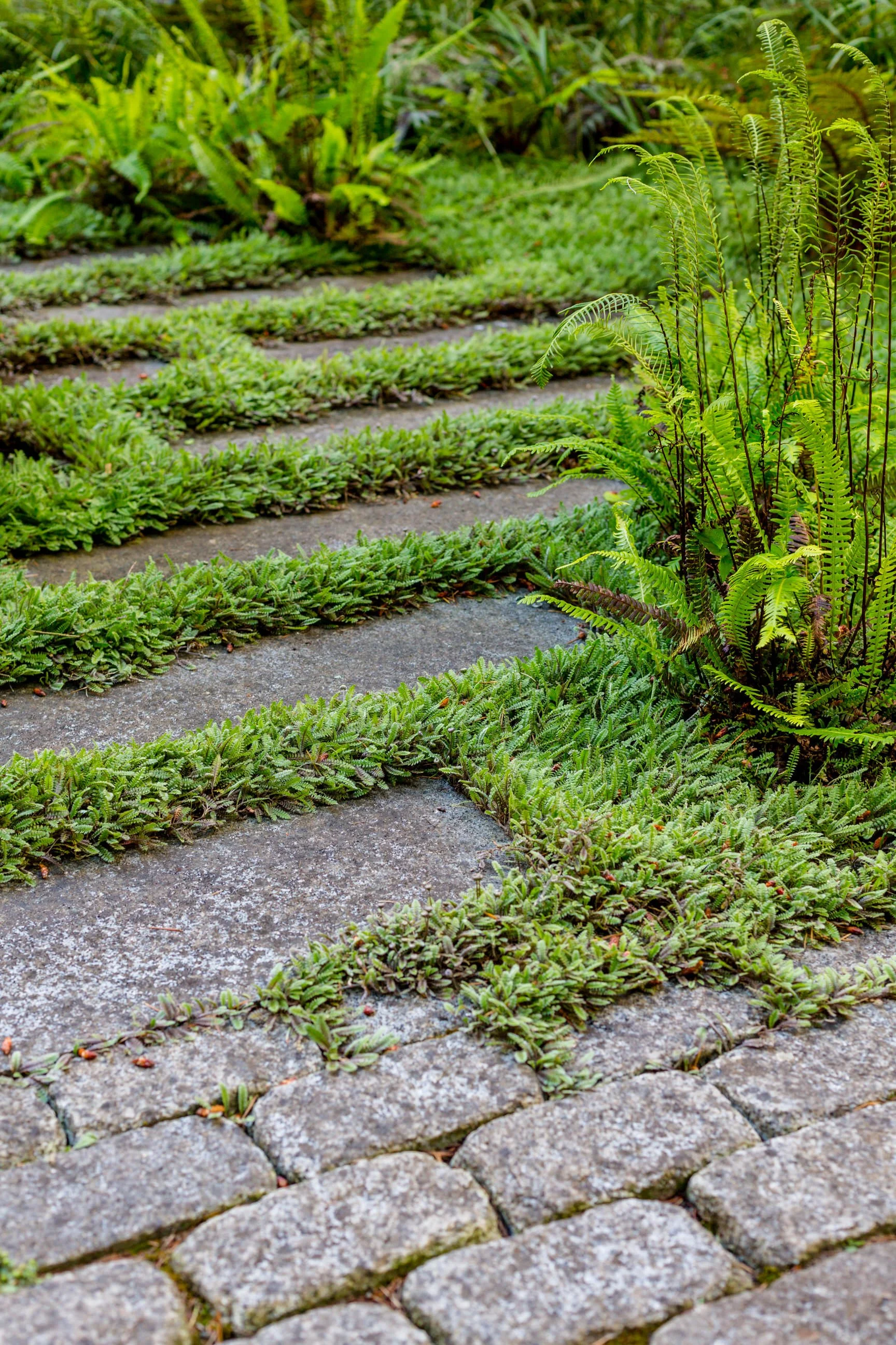 Land Morphology_0021-Miranda-Estes-Photography-20180604.jpg