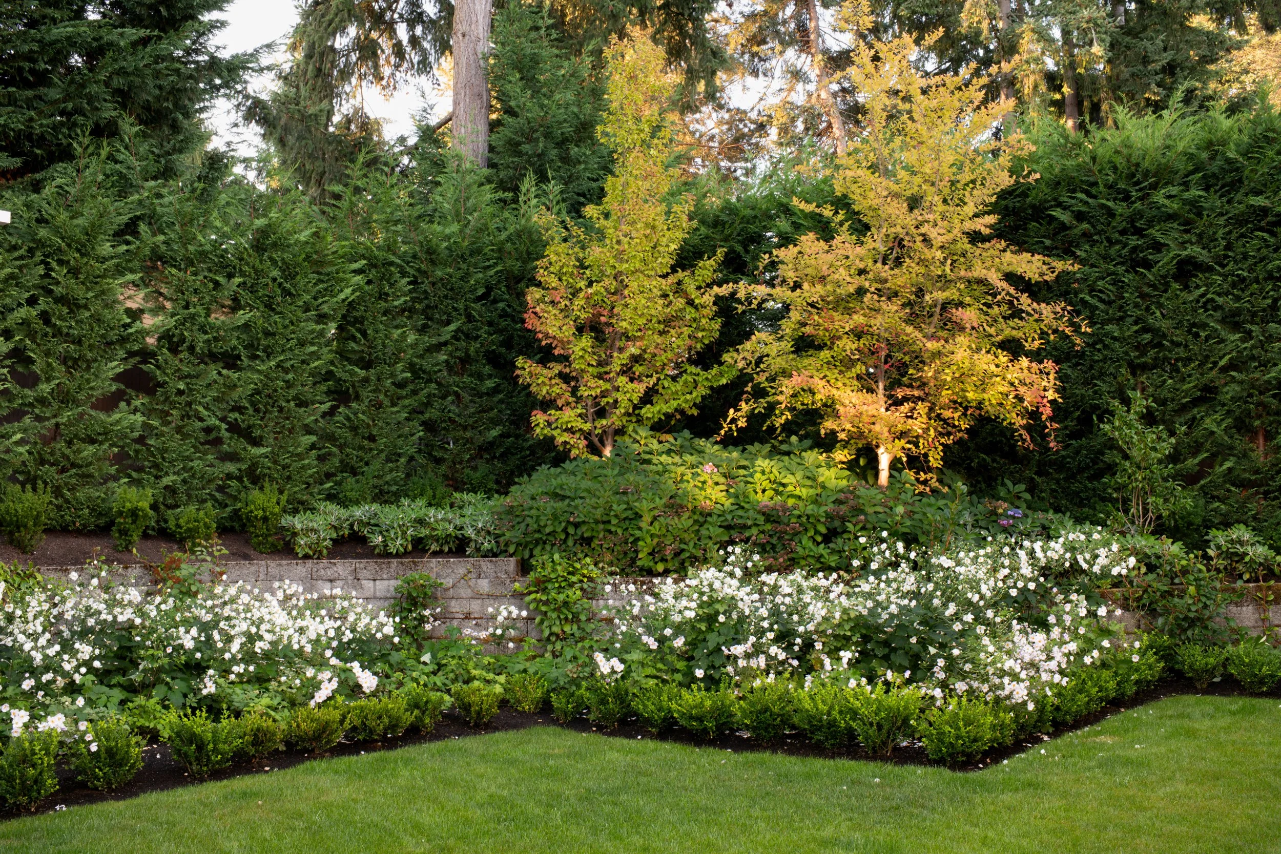 planted area