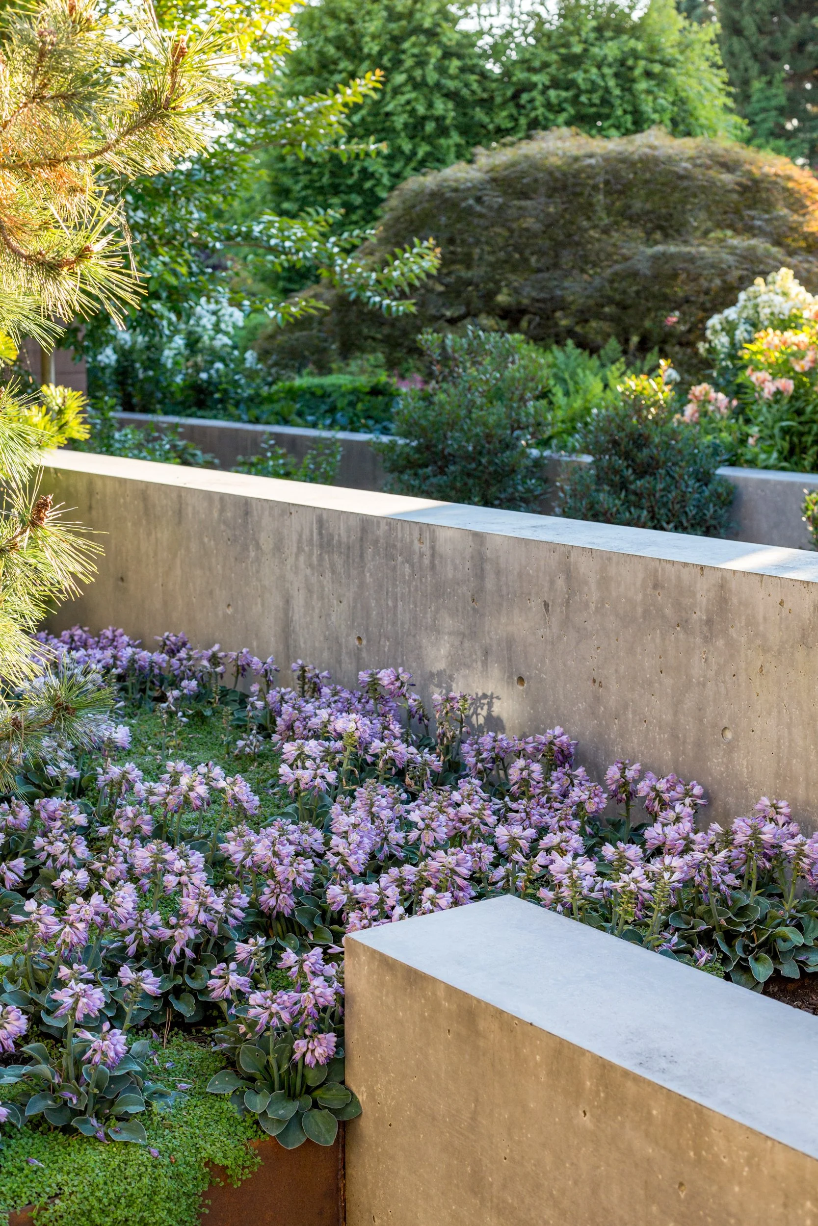 Five Residence walls