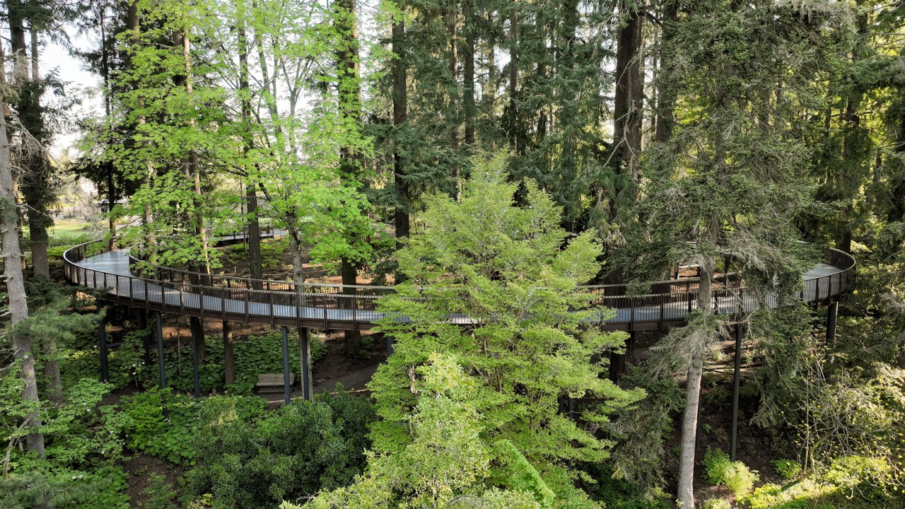 Leach Botanical Garden Tree Walk