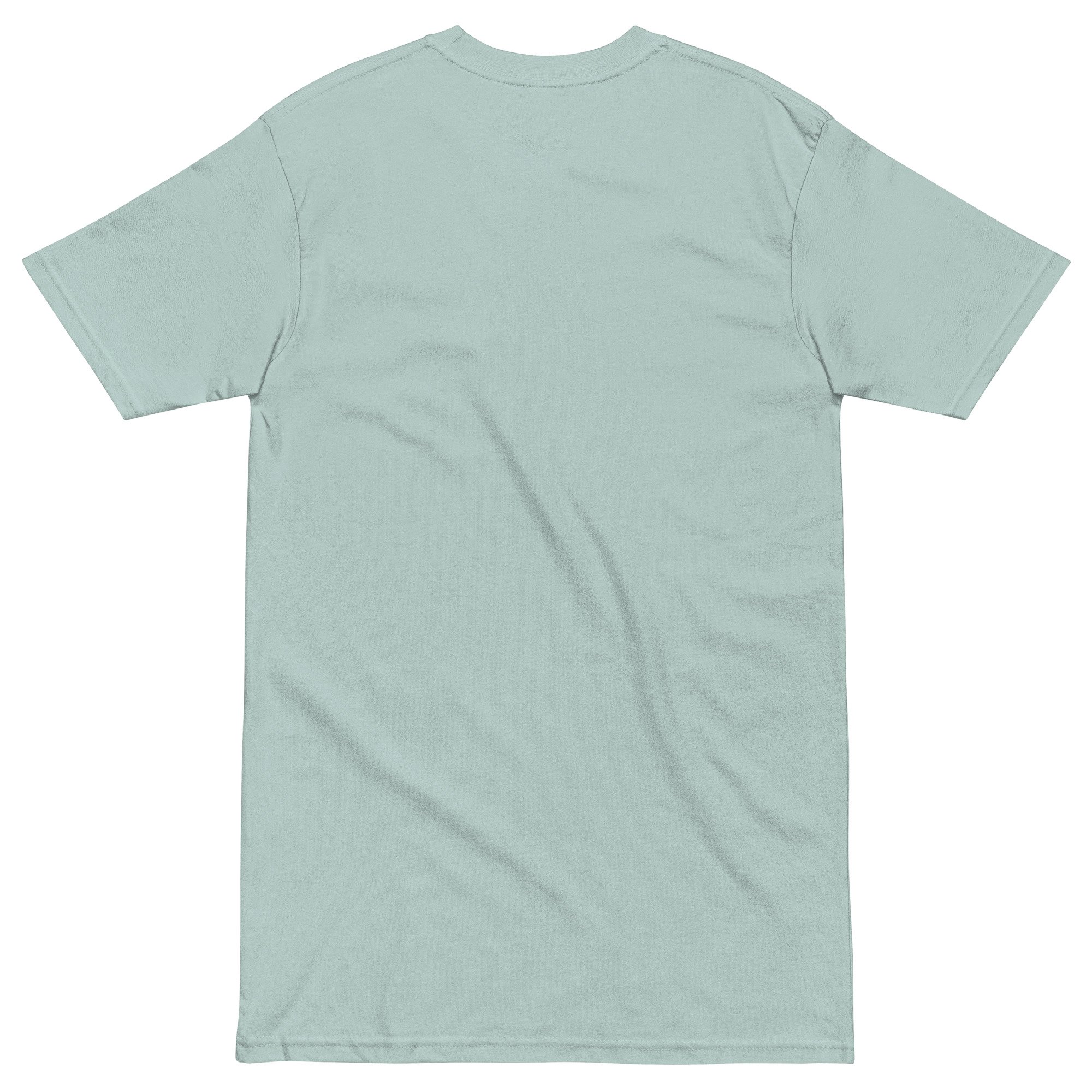 mens-premium-heavyweight-tee-agave-back-6871d5542b566.jpg