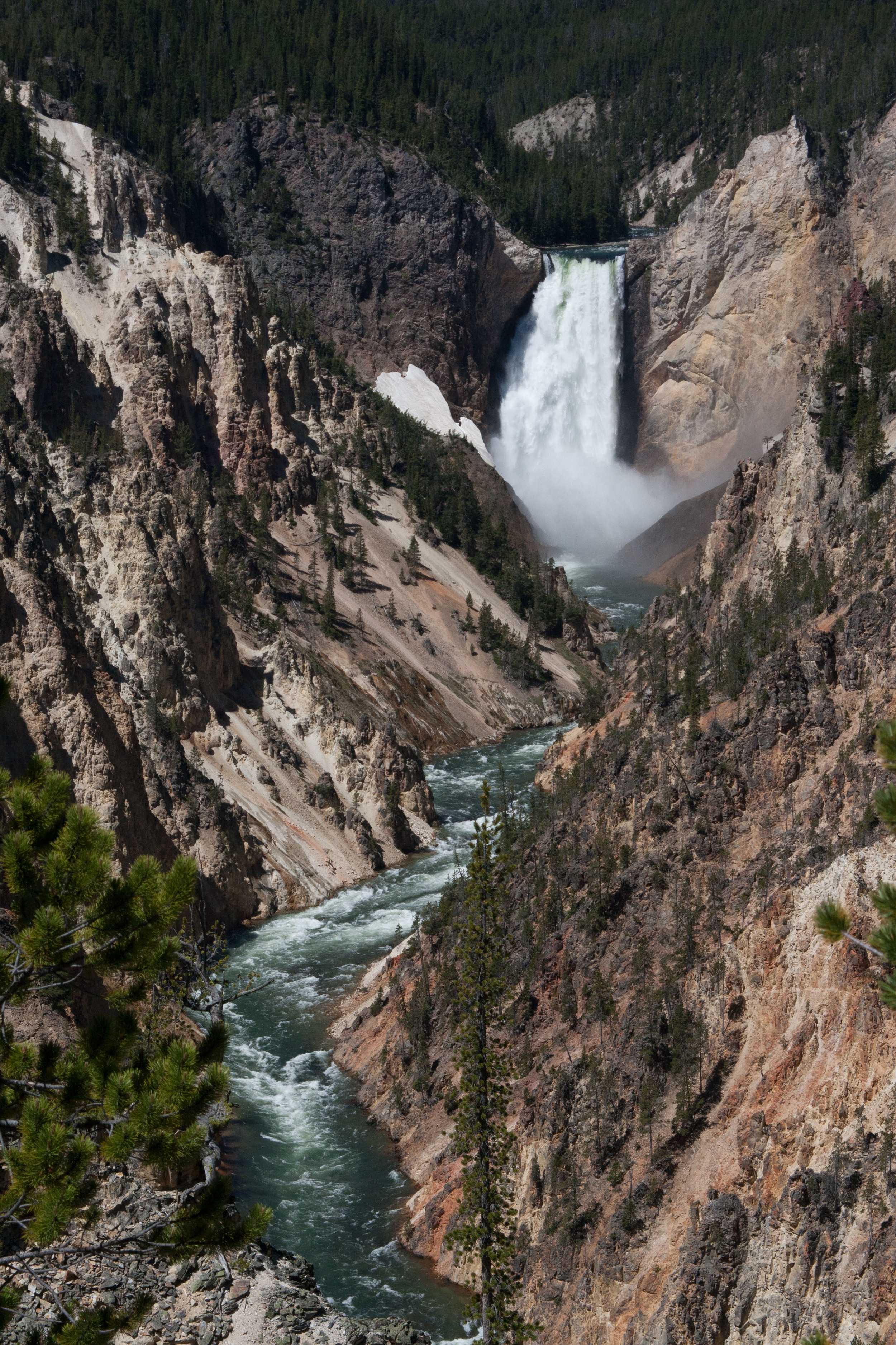 _MG_2494.jpg