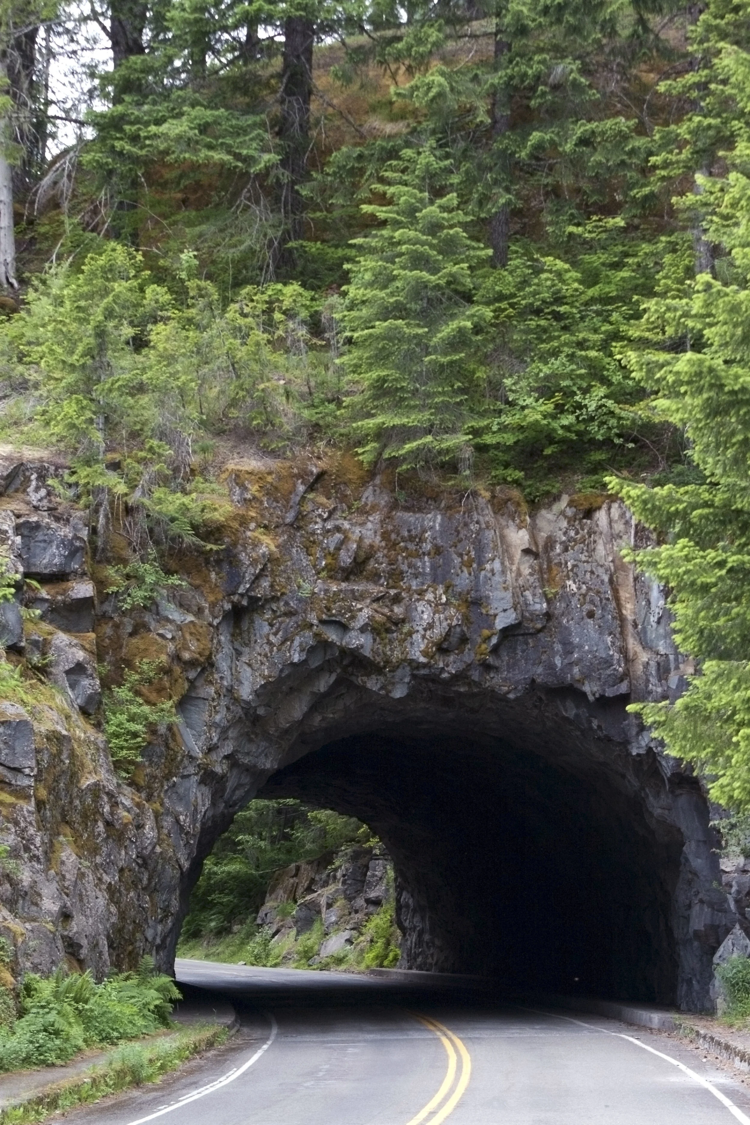 _MG_4738.jpg