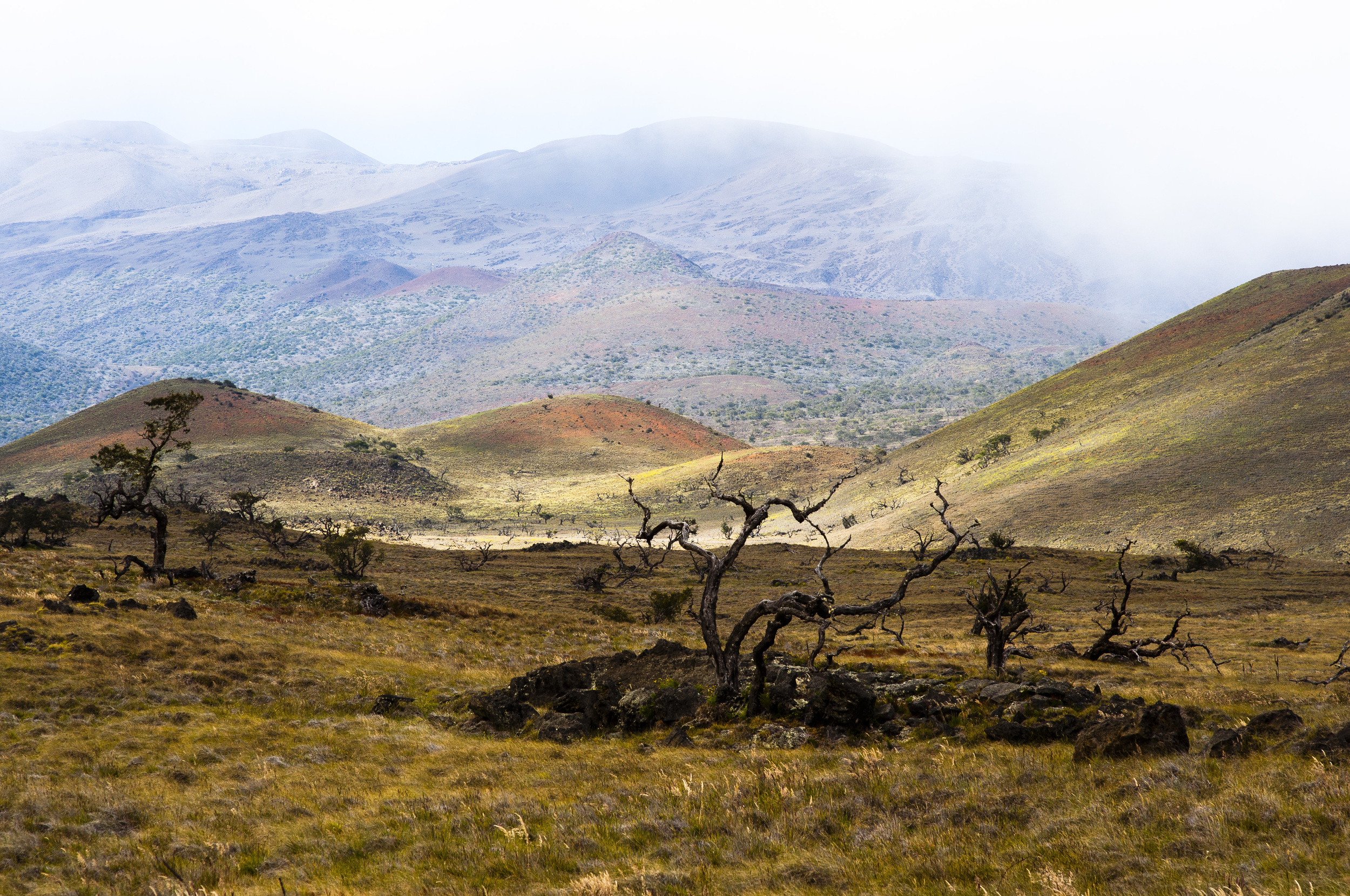 mauna kea summit road.jpg
