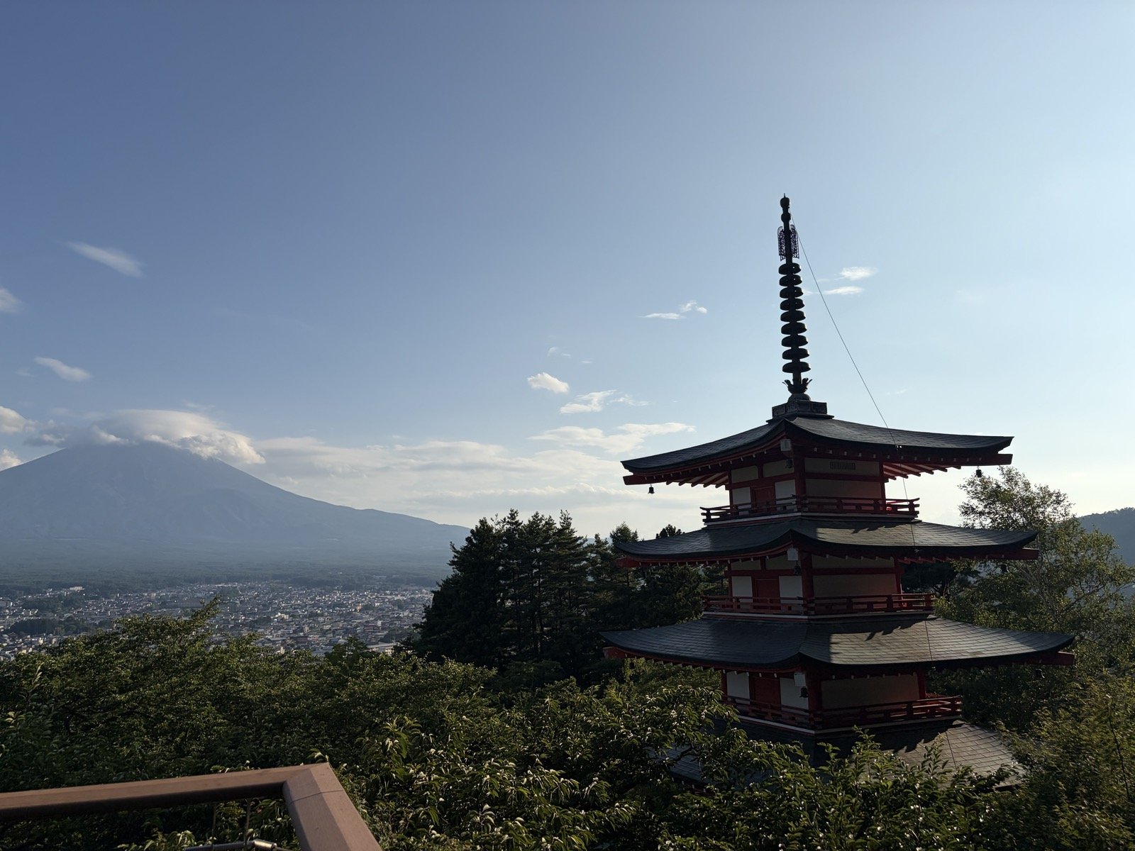 IMG_2531.jpeg
