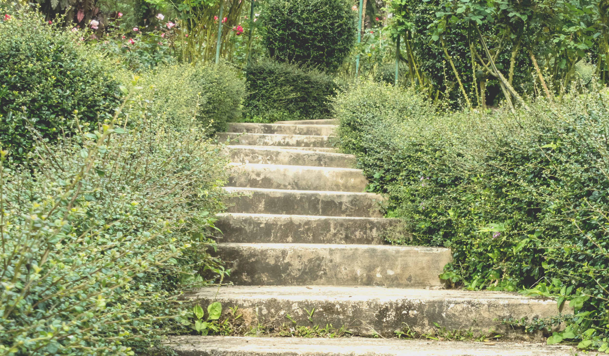 C&YA 2022-23 Image.png