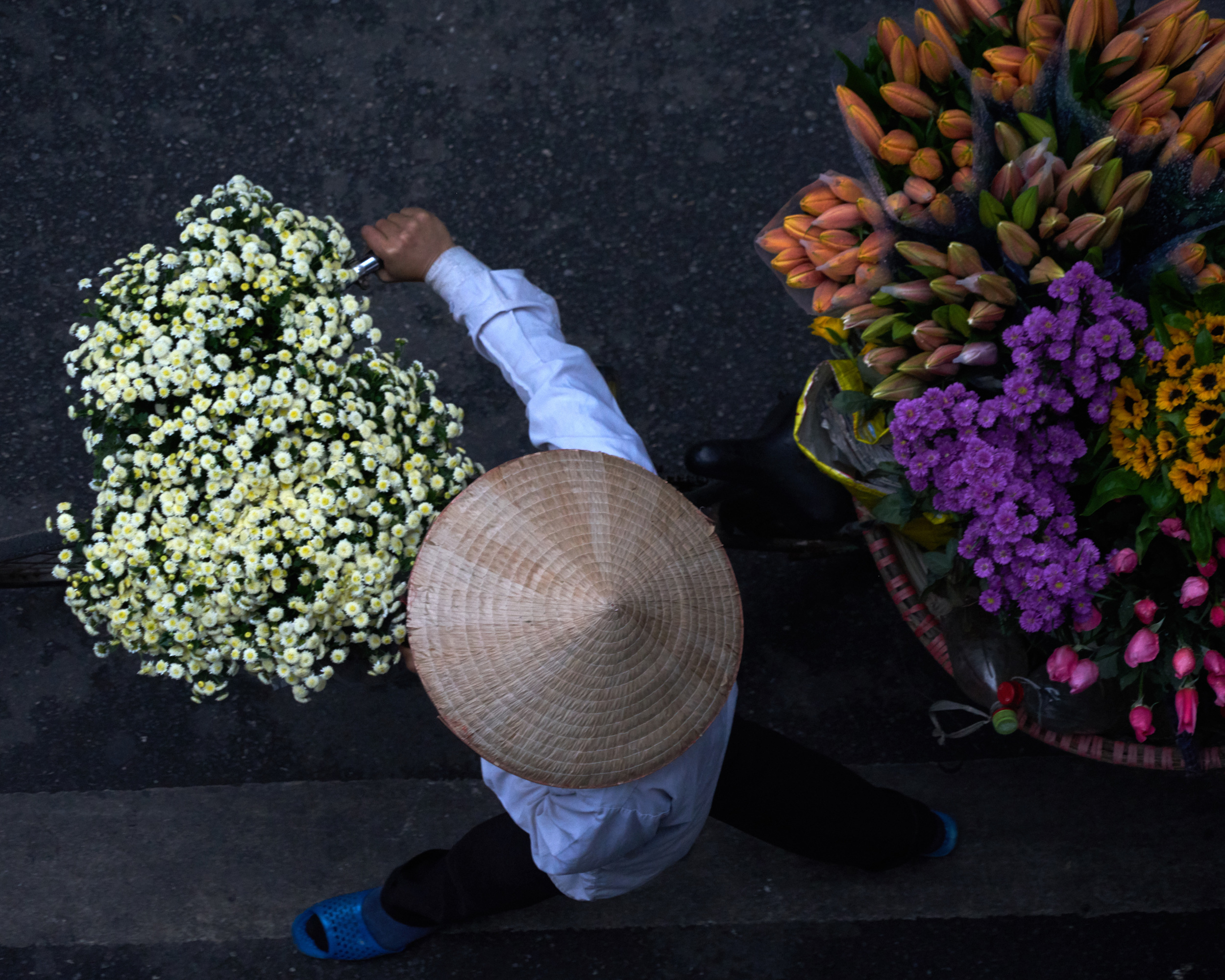 flower.jpg