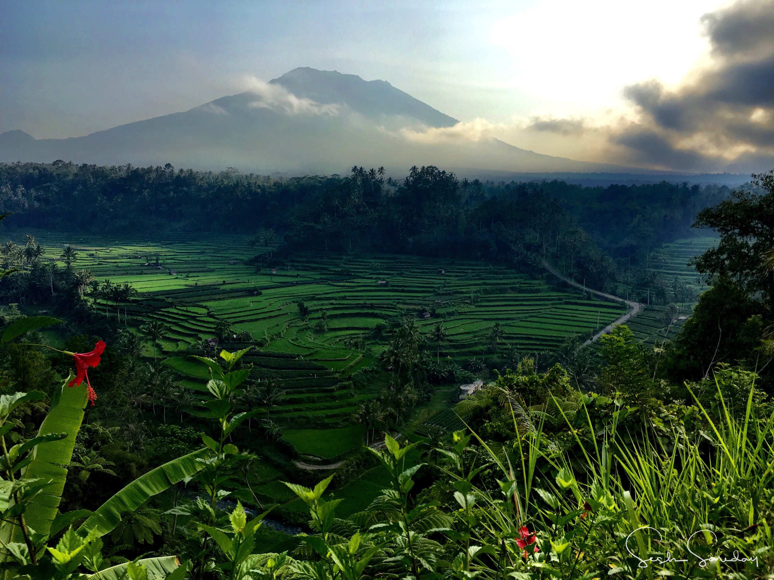 seshsareday_landscape03.jpg