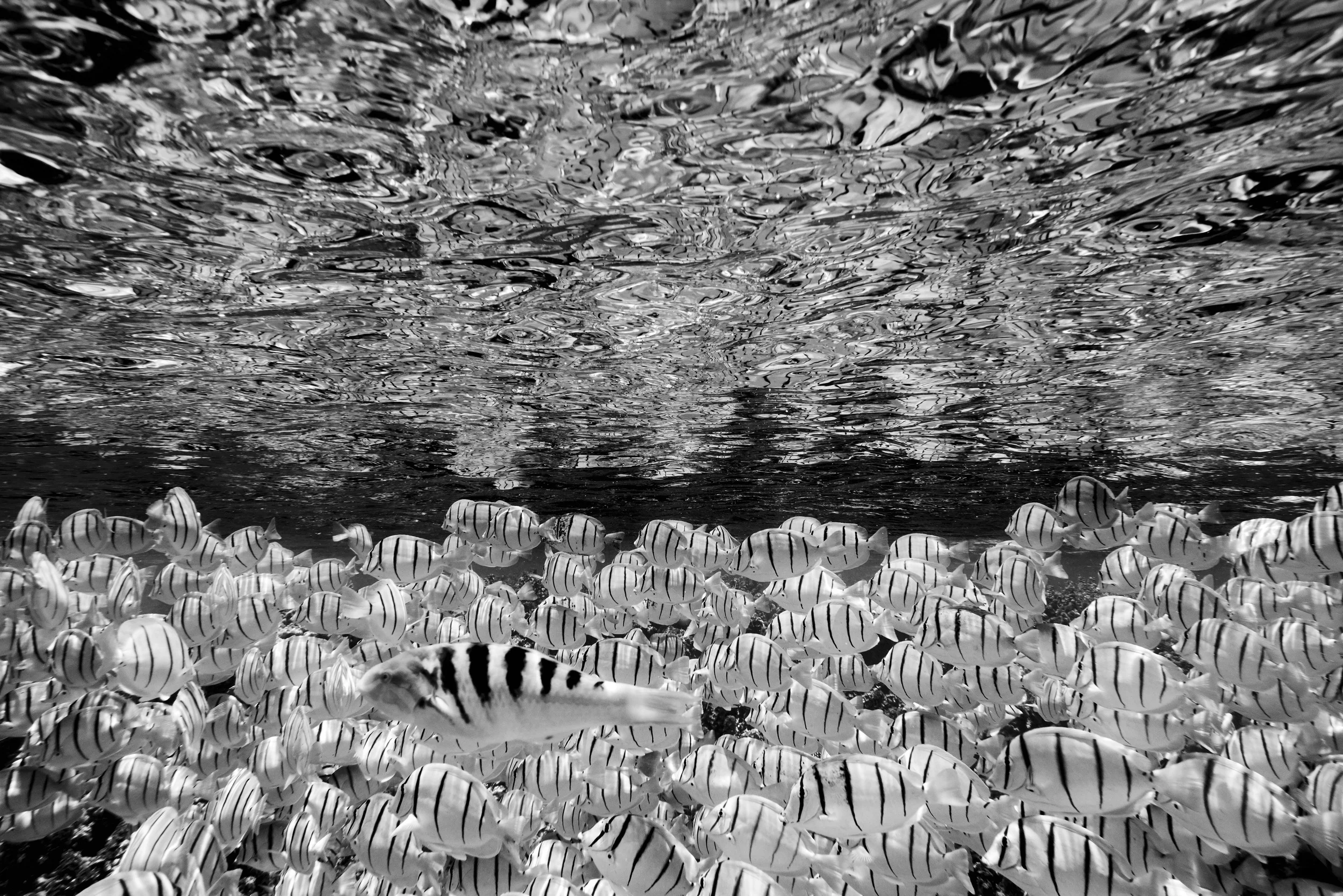 810_7180.jpg