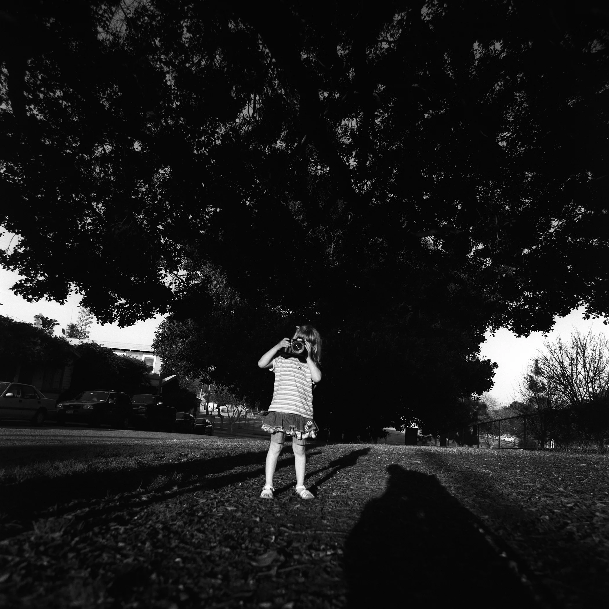 Reprisal