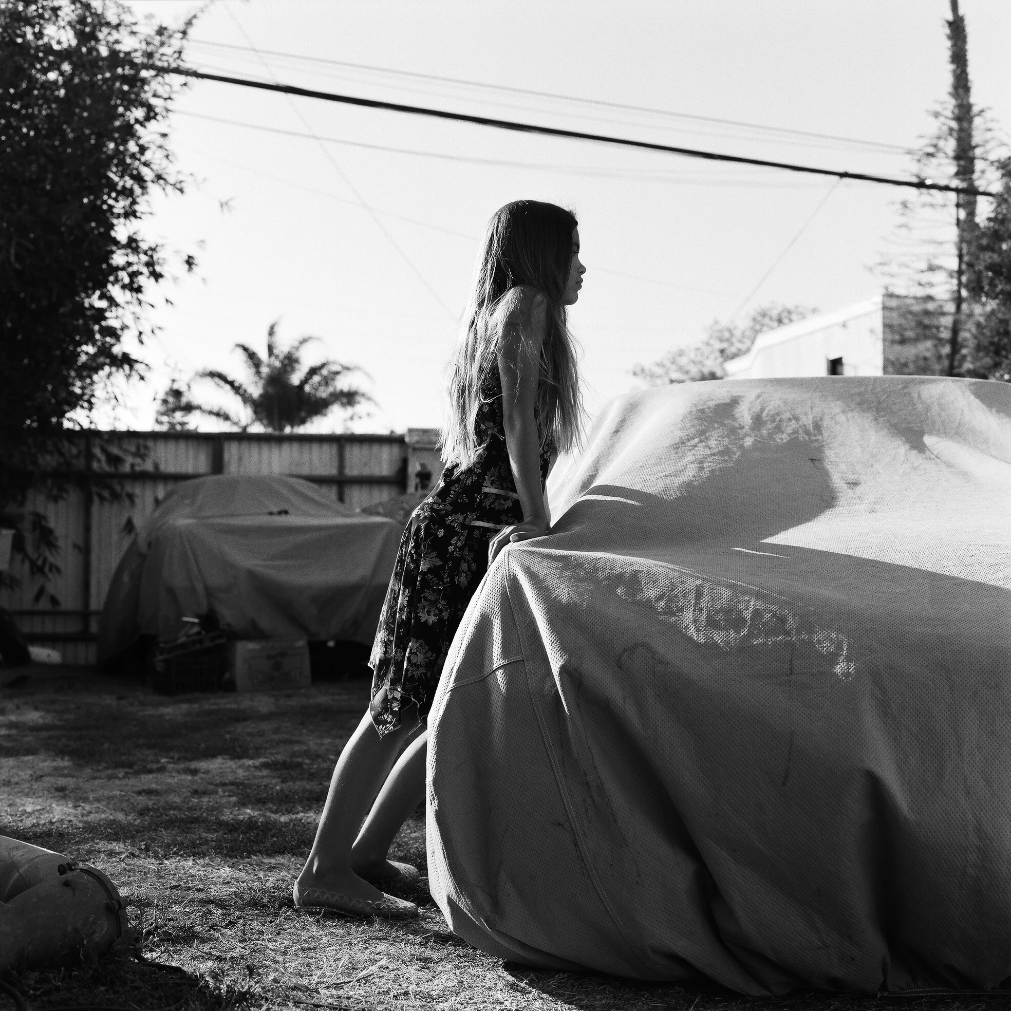 Porsche Collector
