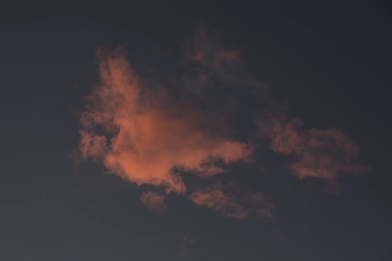 7O4A4659.jpg
