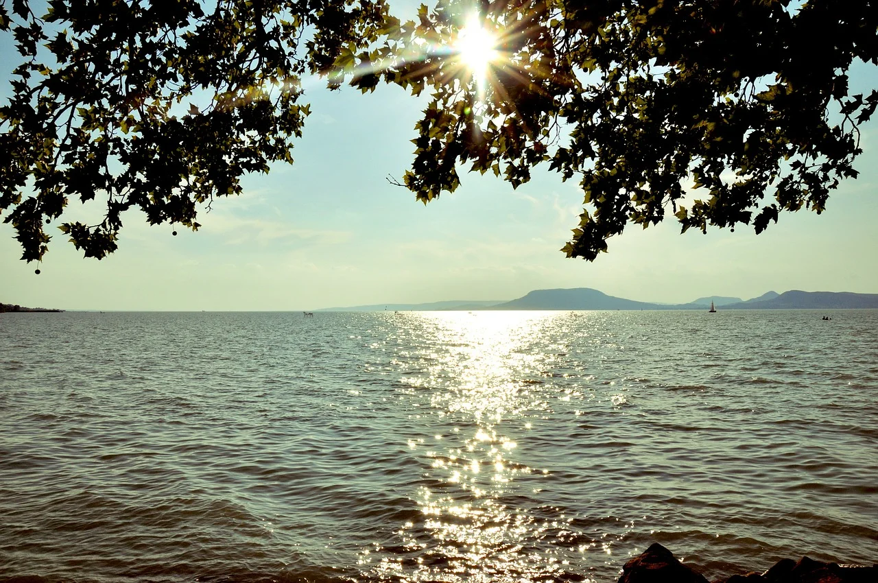 summer-629167_1280.jpg